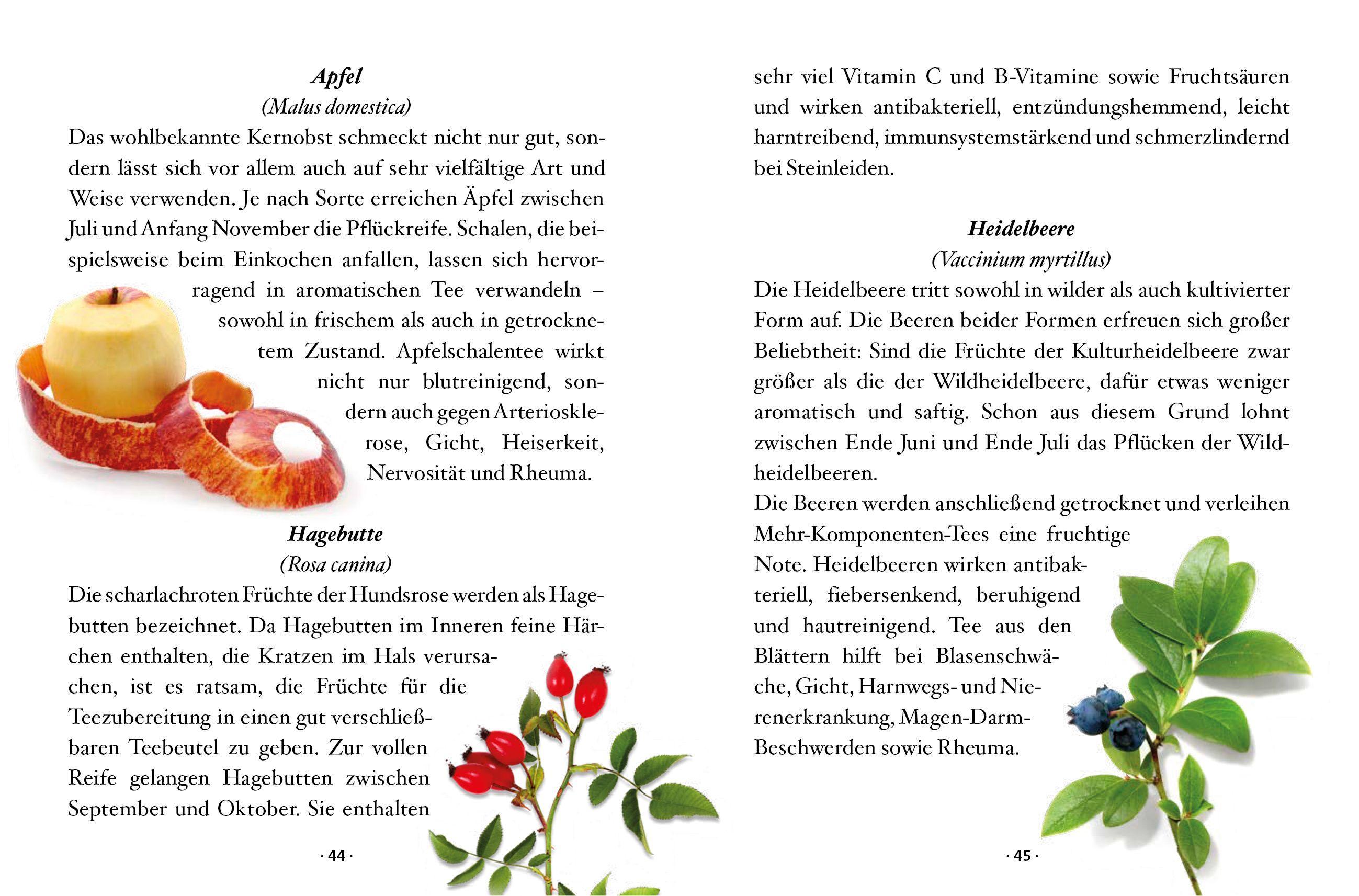 Beispielinhalt (Bild) Das kleine Buch: Teegenuss aus Früchten, Blüten und Blättern