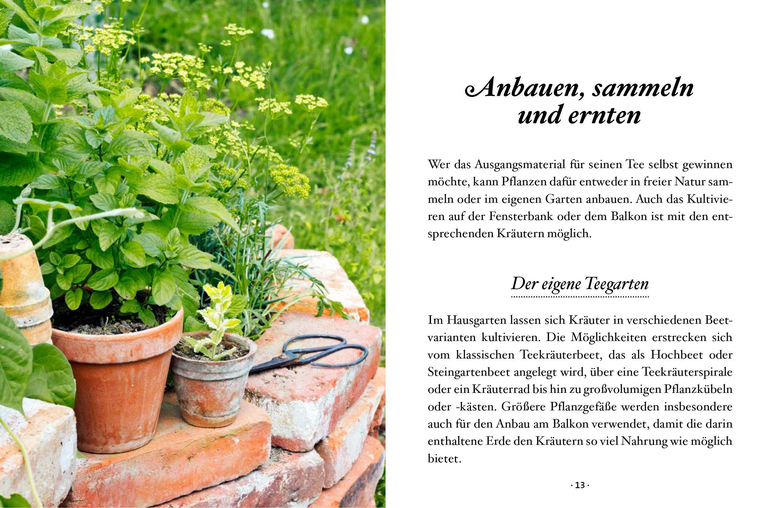Beispielinhalt (Bild) Das kleine Buch: Teegenuss aus Früchten, Blüten und Blättern