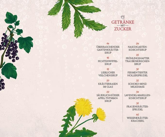 Beispielinhalt (Bild) Fräulein Grüns wilde Getränke aus der Natur