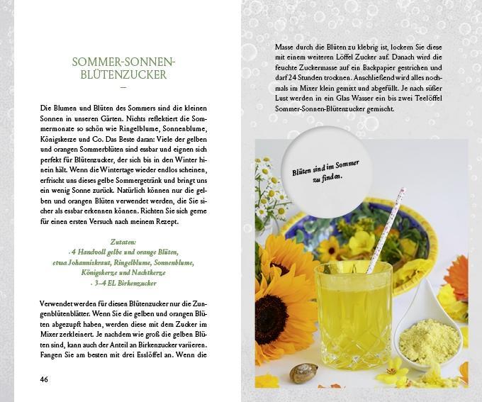 Beispielinhalt (Bild) Fräulein Grüns wilde Getränke aus der Natur