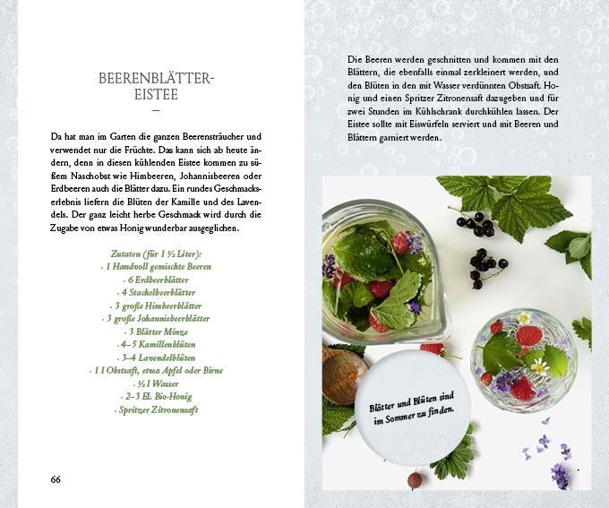 Beispielinhalt (Bild) Fräulein Grüns wilde Getränke aus der Natur
