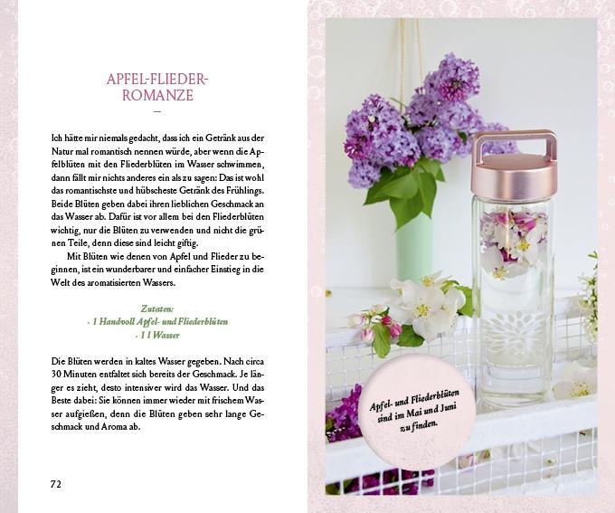 Beispielinhalt (Bild) Fräulein Grüns wilde Getränke aus der Natur