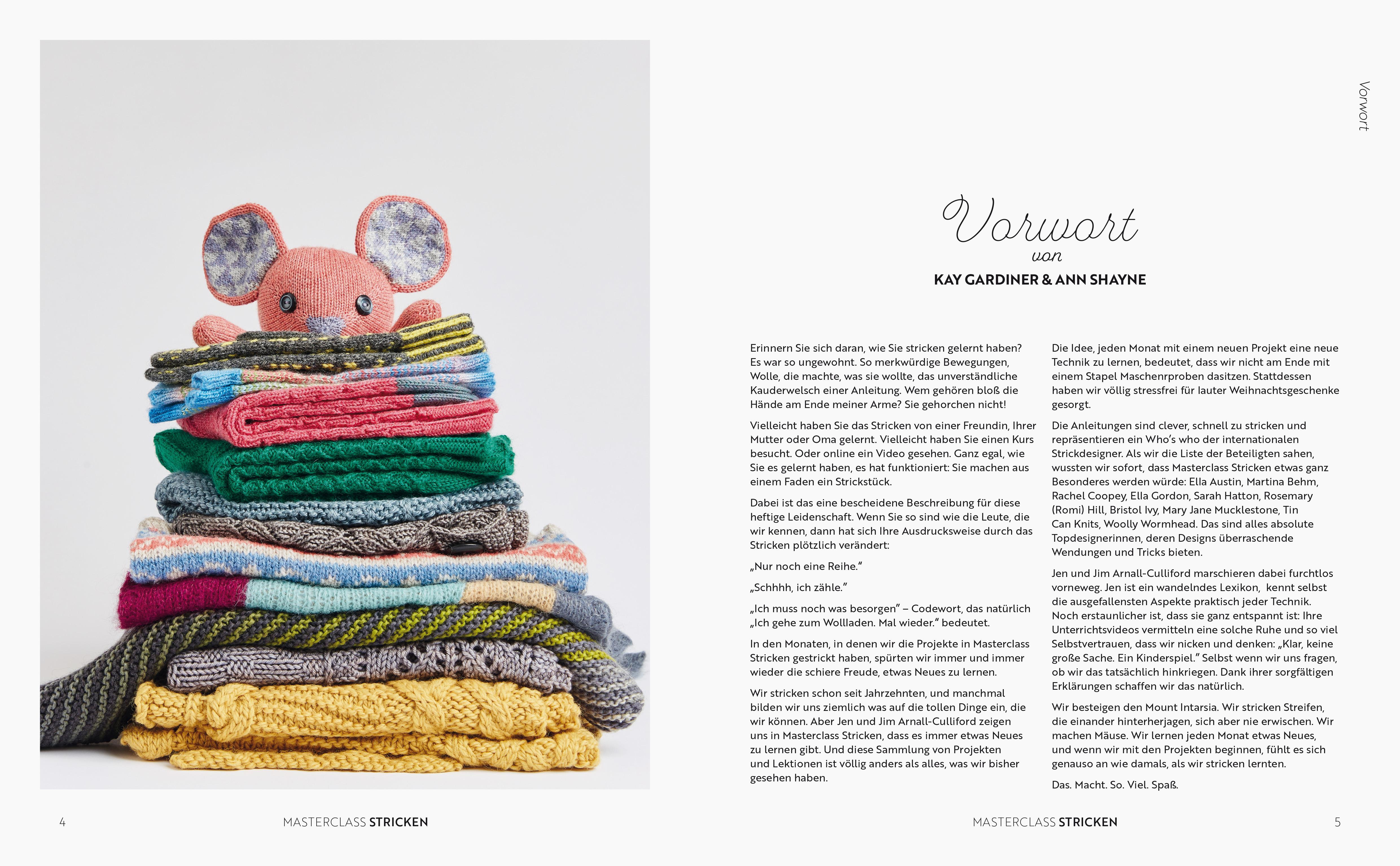 Beispielinhalt (Bild) Masterclass Stricken