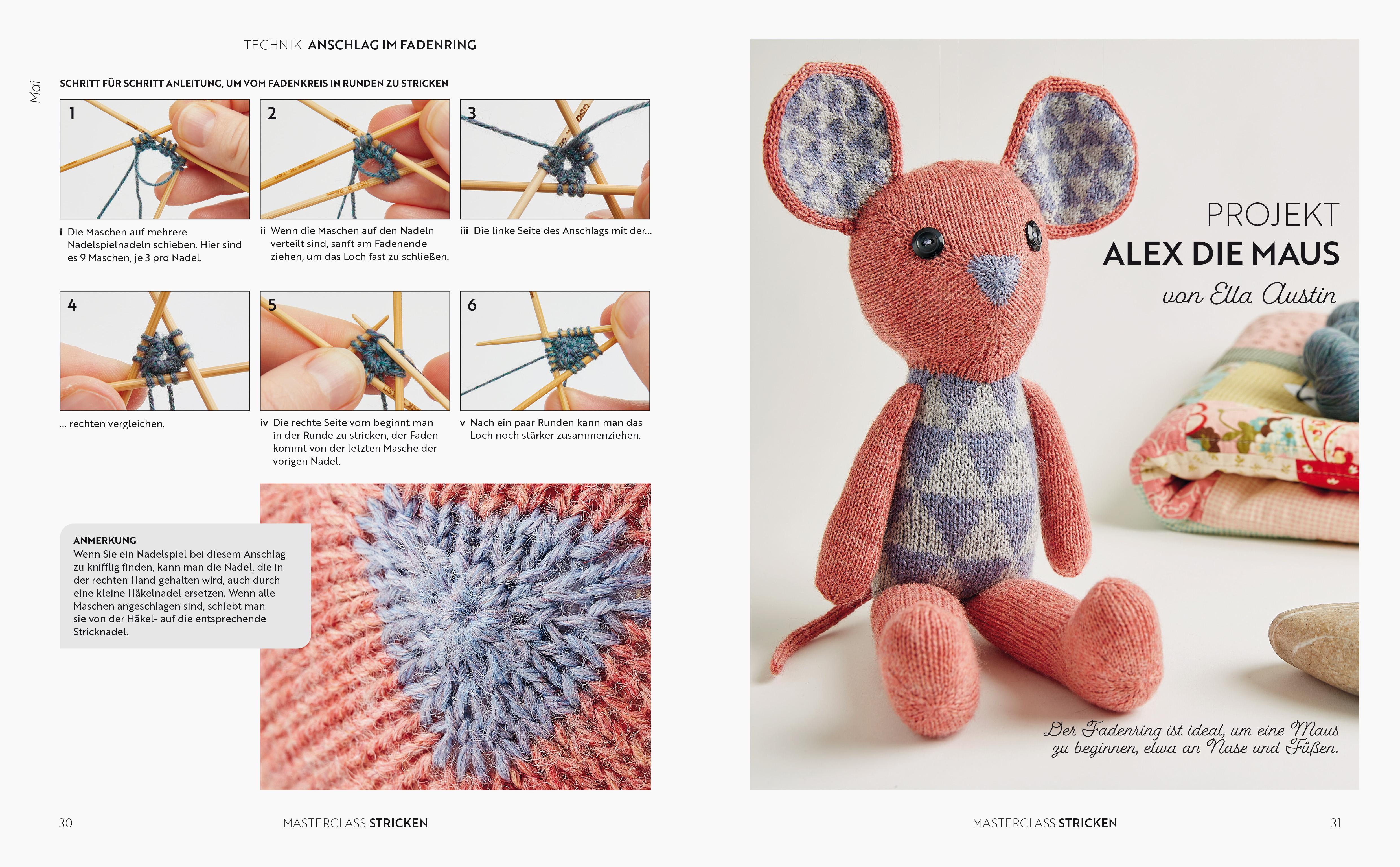 Beispielinhalt (Bild) Masterclass Stricken