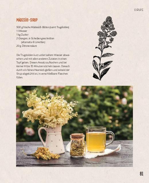 Beispielinhalt (Bild) Essbare Schätze aus der Natur: Erkennen - Sammeln - Zubereiten