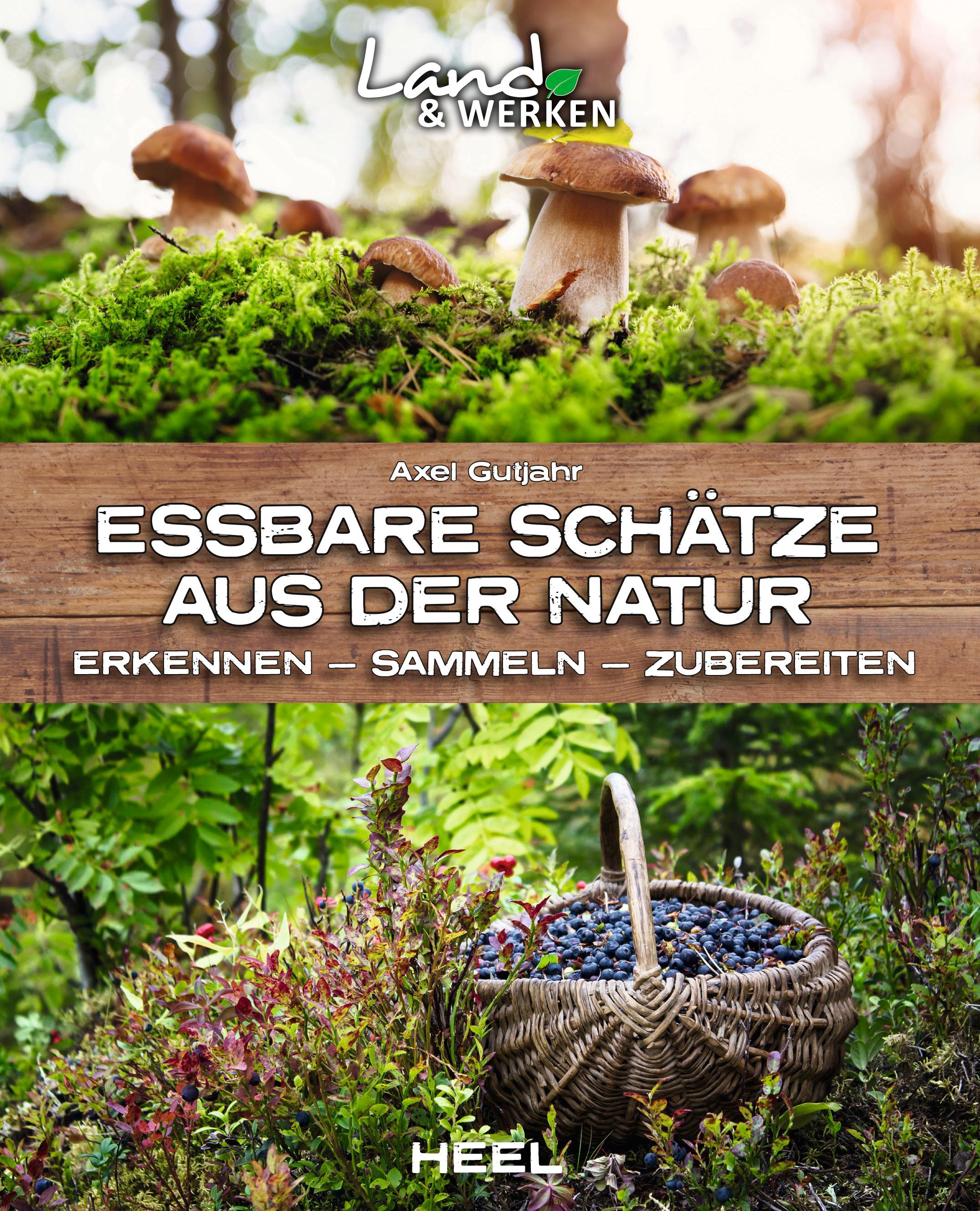 Vorderes Coverbild Essbare Schätze aus der Natur: Erkennen - Sammeln - Zubereiten