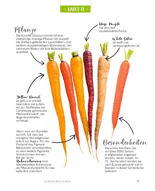 Beispielinhalt (Bild) Regrowing -  Neue Triebe aus Obst- und Gemüseresten