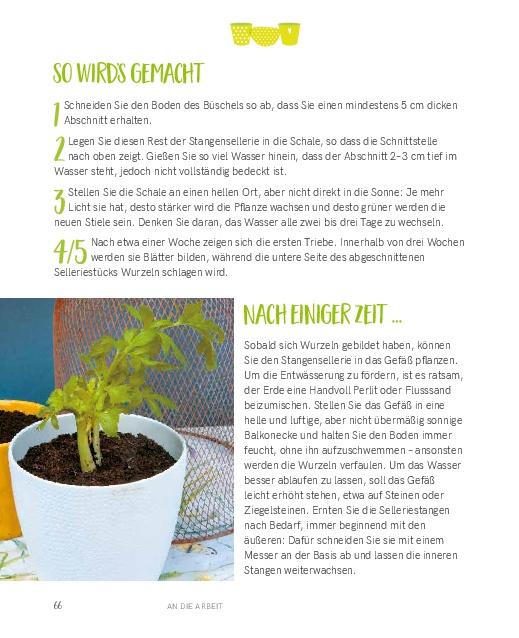 Beispielinhalt (Bild) Regrowing -  Neue Triebe aus Obst- und Gemüseresten