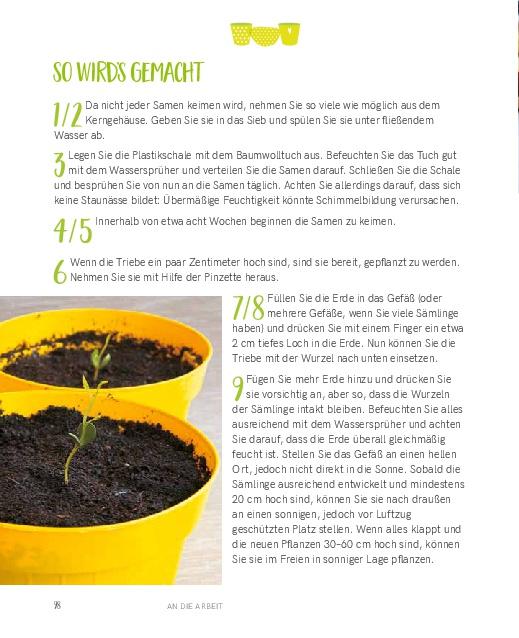 Beispielinhalt (Bild) Regrowing -  Neue Triebe aus Obst- und Gemüseresten