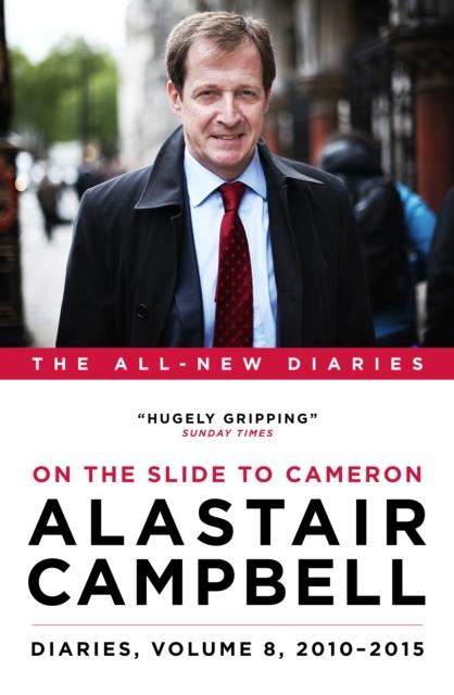 Vorderes Coverbild Diaries Volume 8