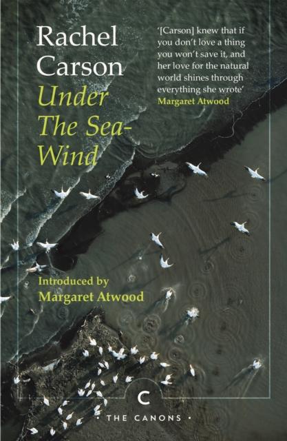Vorderes Coverbild Under the Sea-Wind