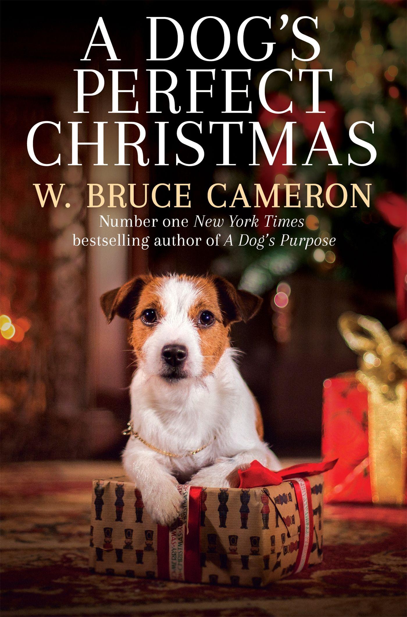 Vorderes Coverbild A Dog's Perfect Christmas
