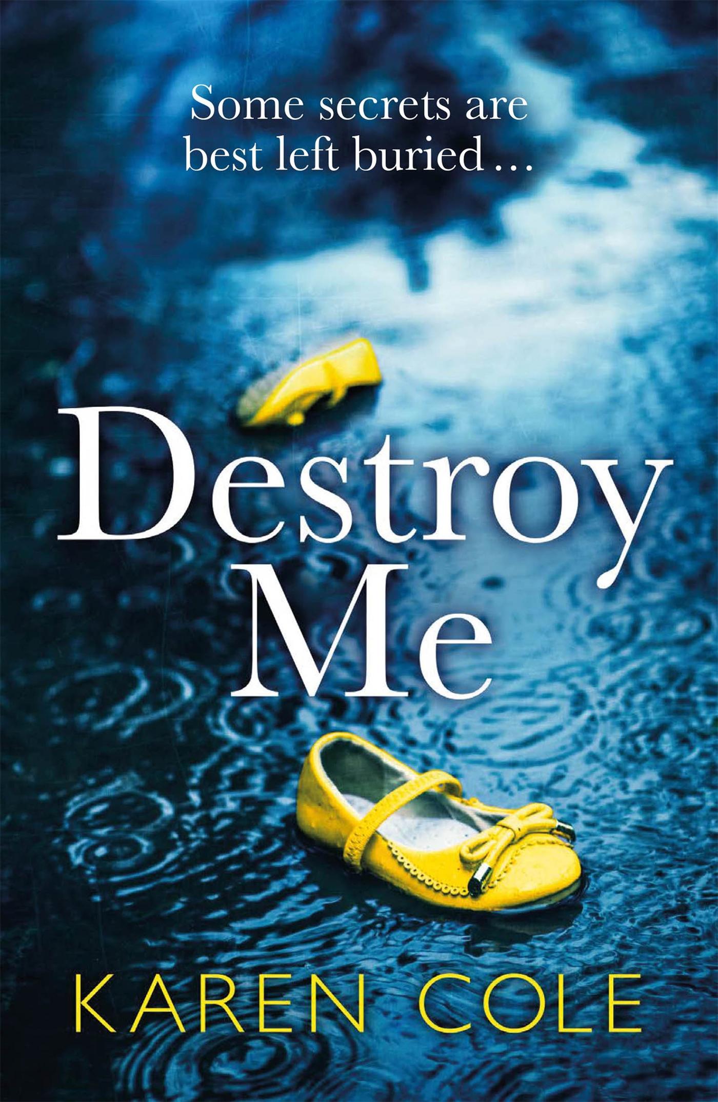 Vorderes Coverbild Destroy Me