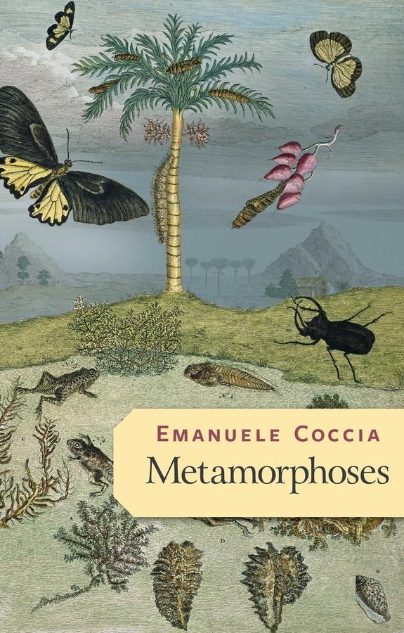Vorderes Coverbild Metamorphoses