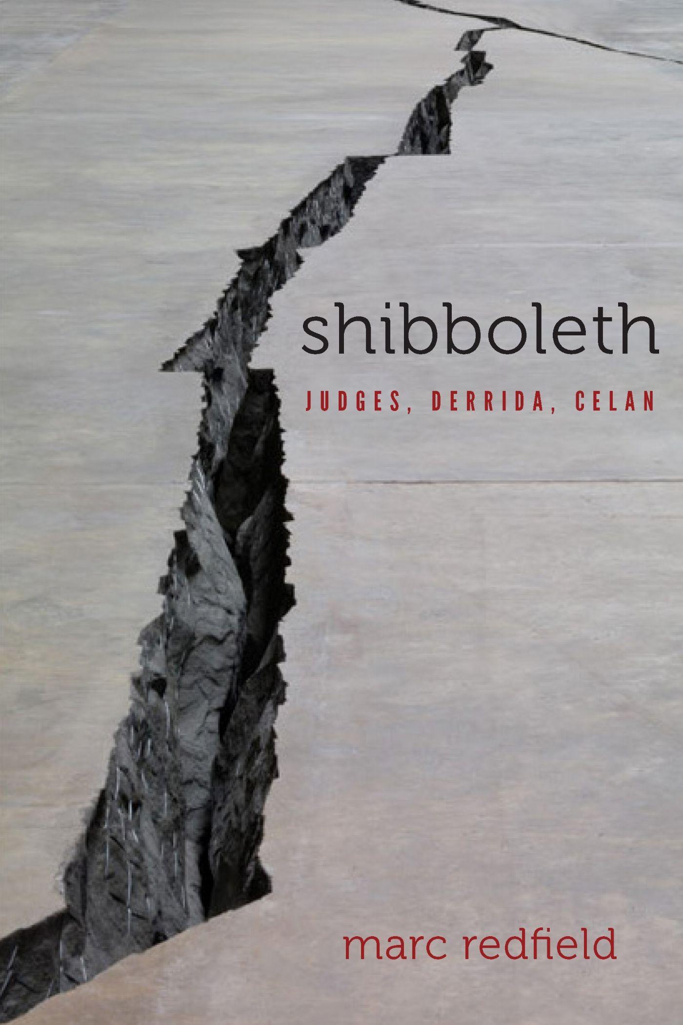 Vorderes Coverbild Shibboleth