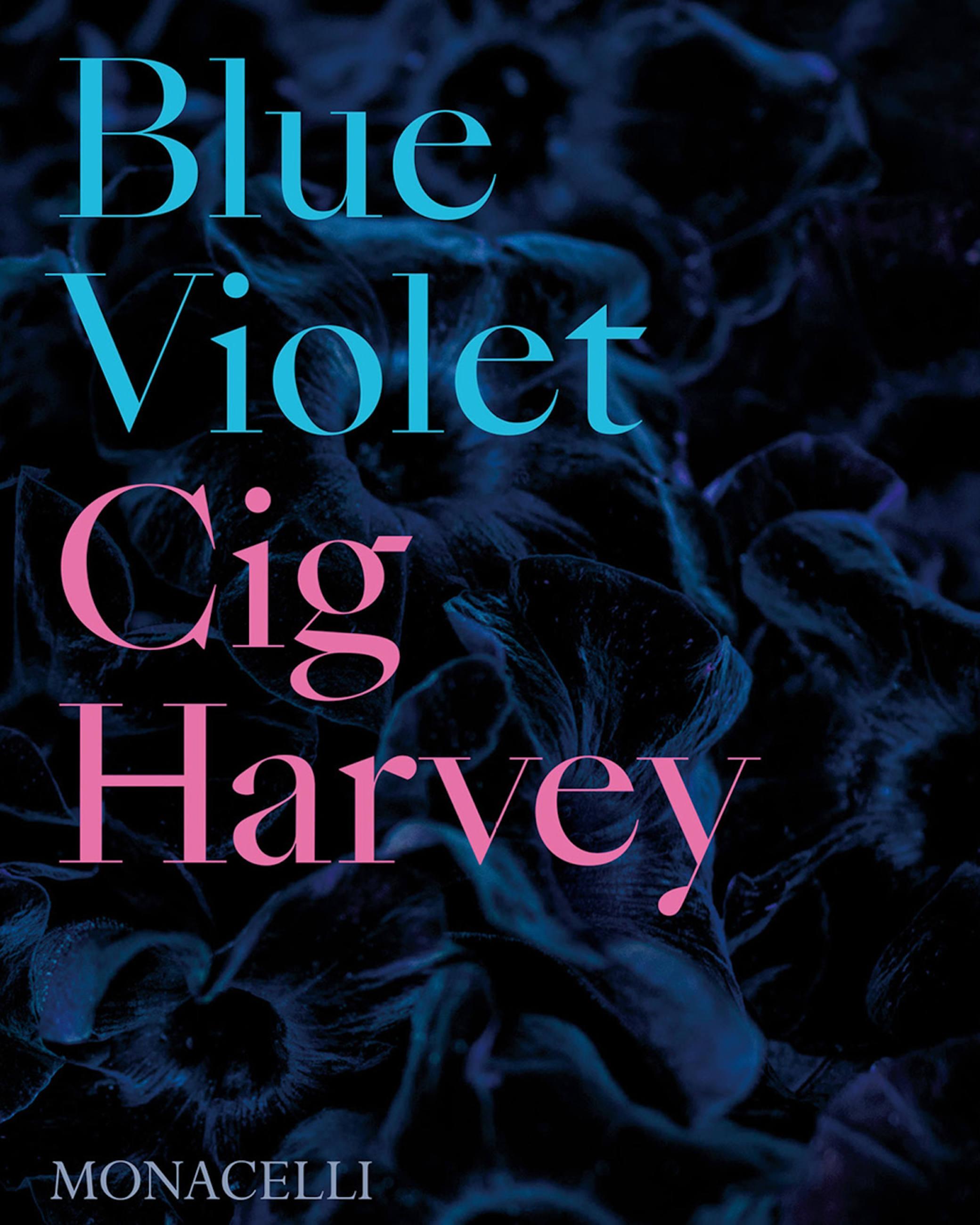 Vorderes Coverbild Blue Violet