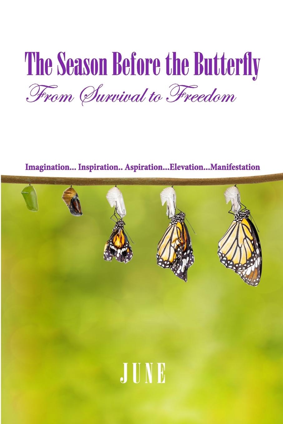 Vorderes Coverbild The Season Before the Butterfly