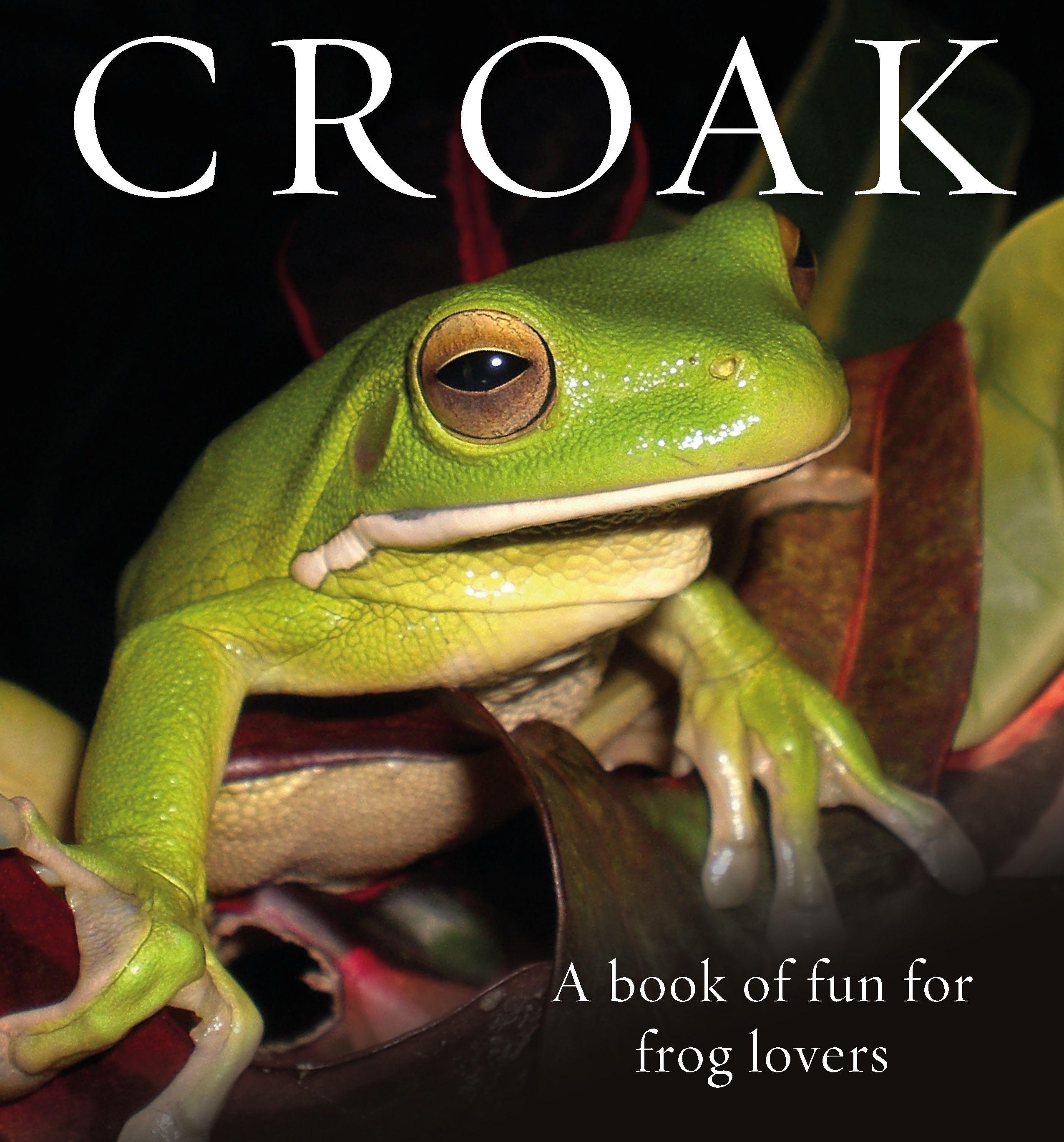 Vorderes Coverbild Croak