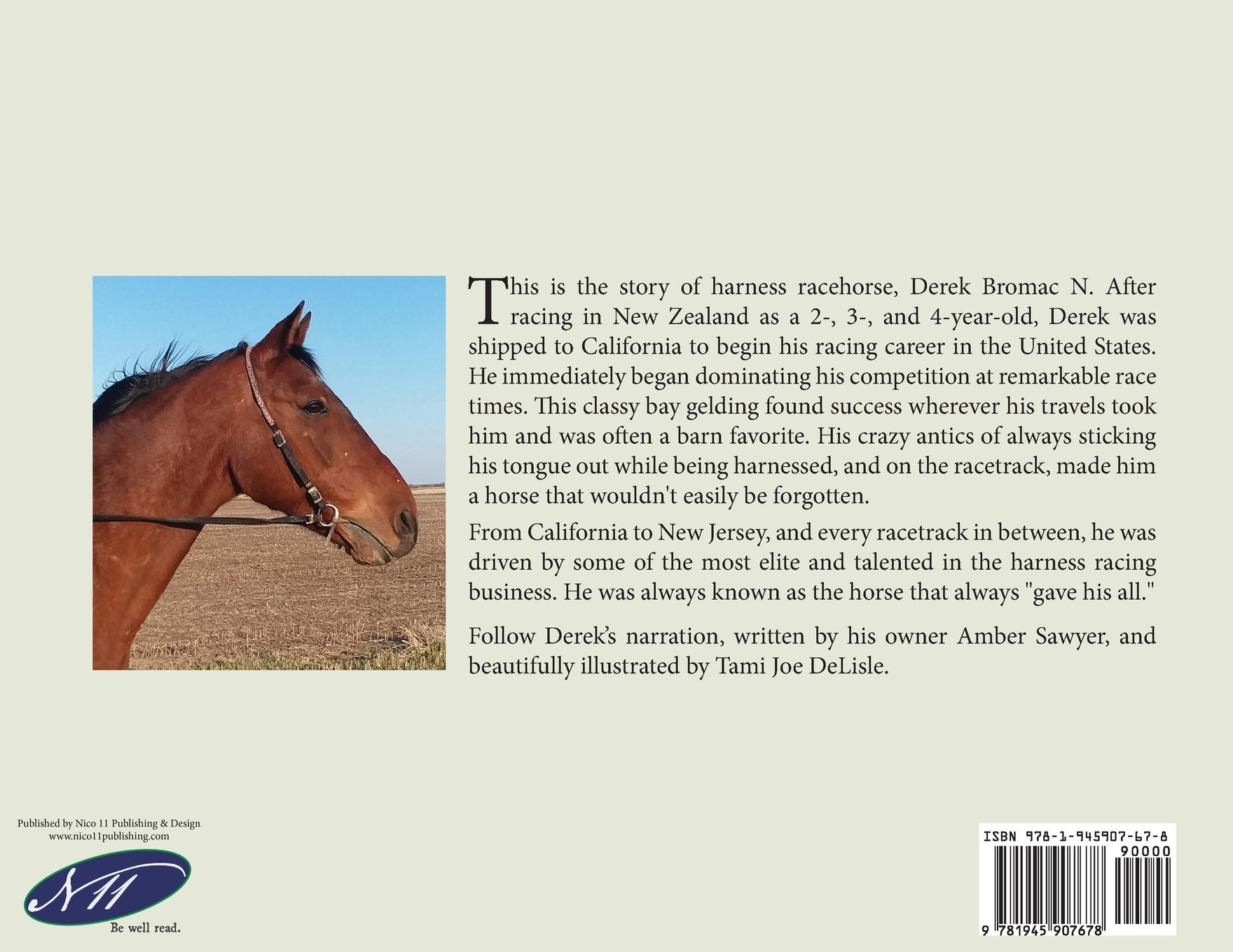 Rückseitencover Love to Race