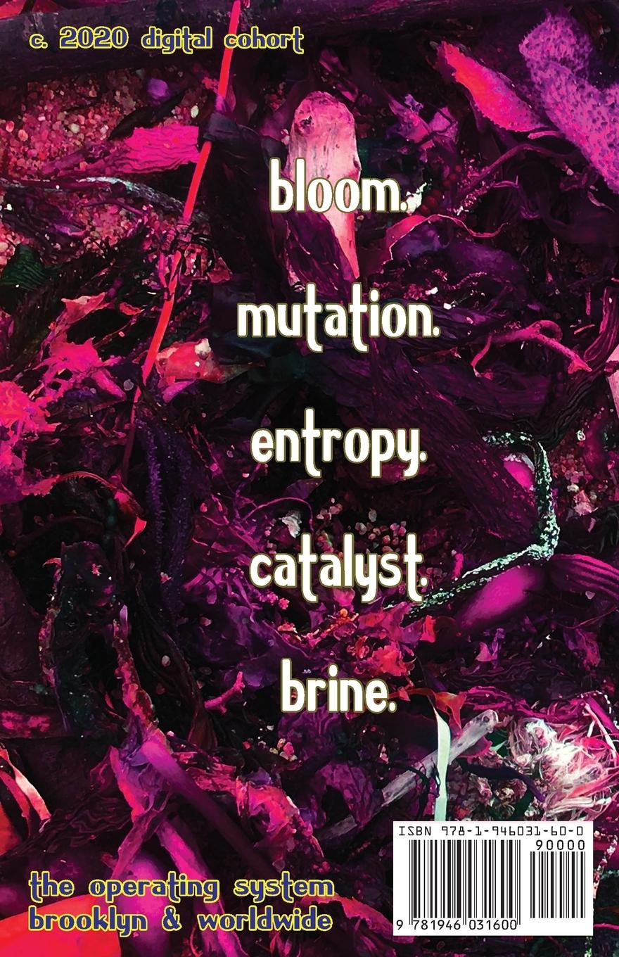 Rückseitencover Enter the Navel