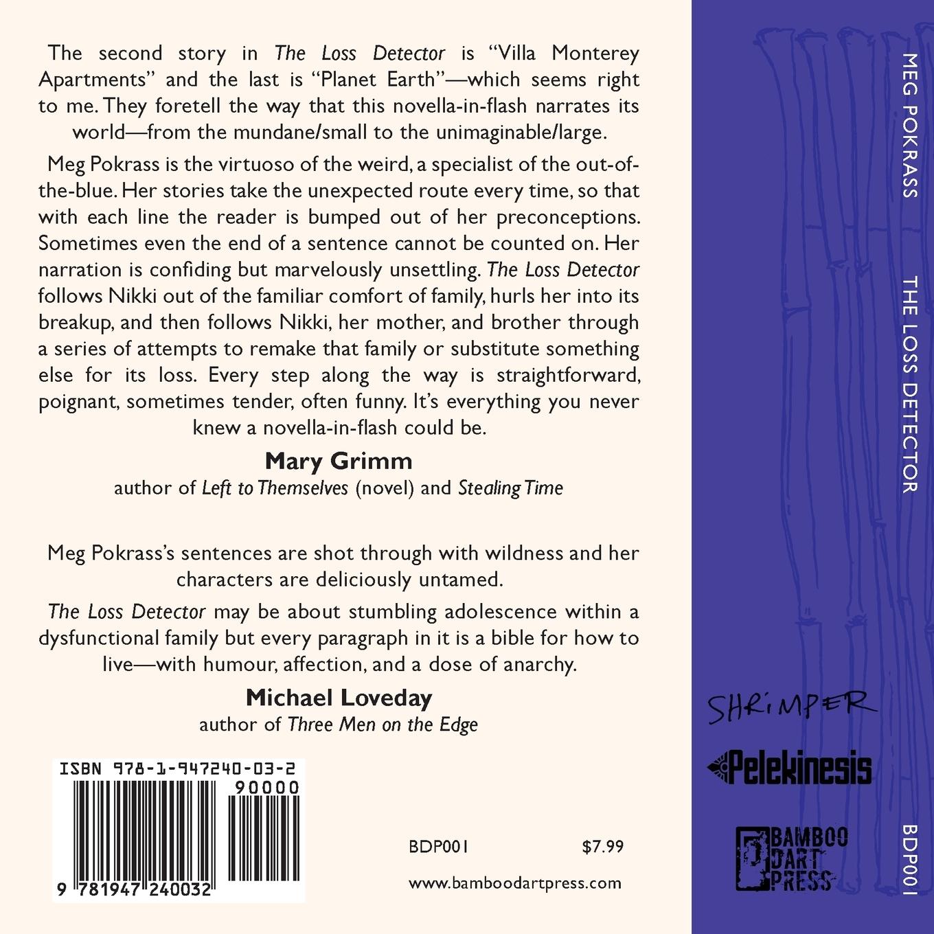 Rückseitencover The Loss Detector