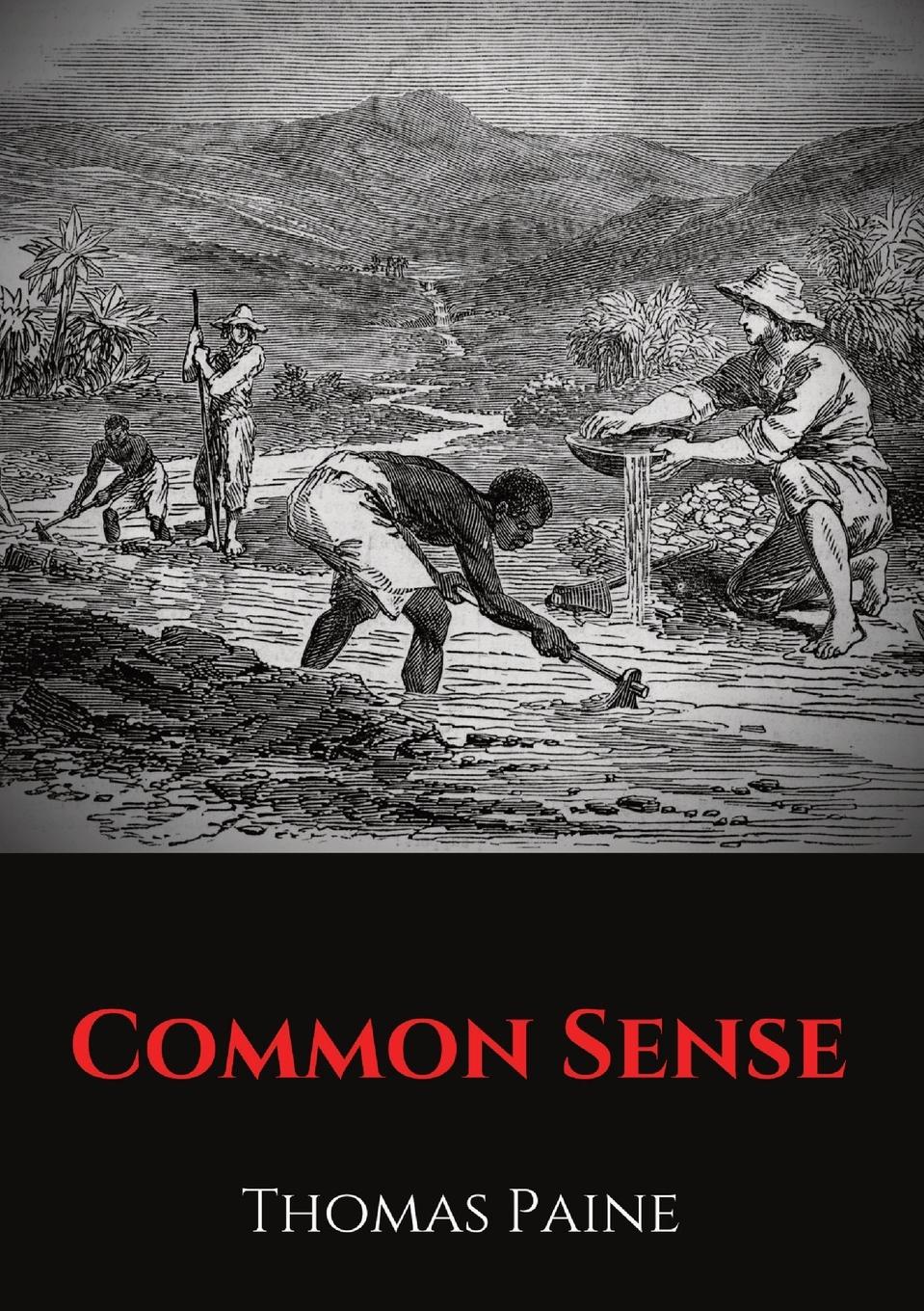 Vorderes Coverbild Common Sense