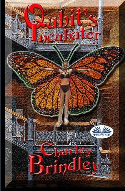 Vorderes Coverbild Qubit`s Incubator