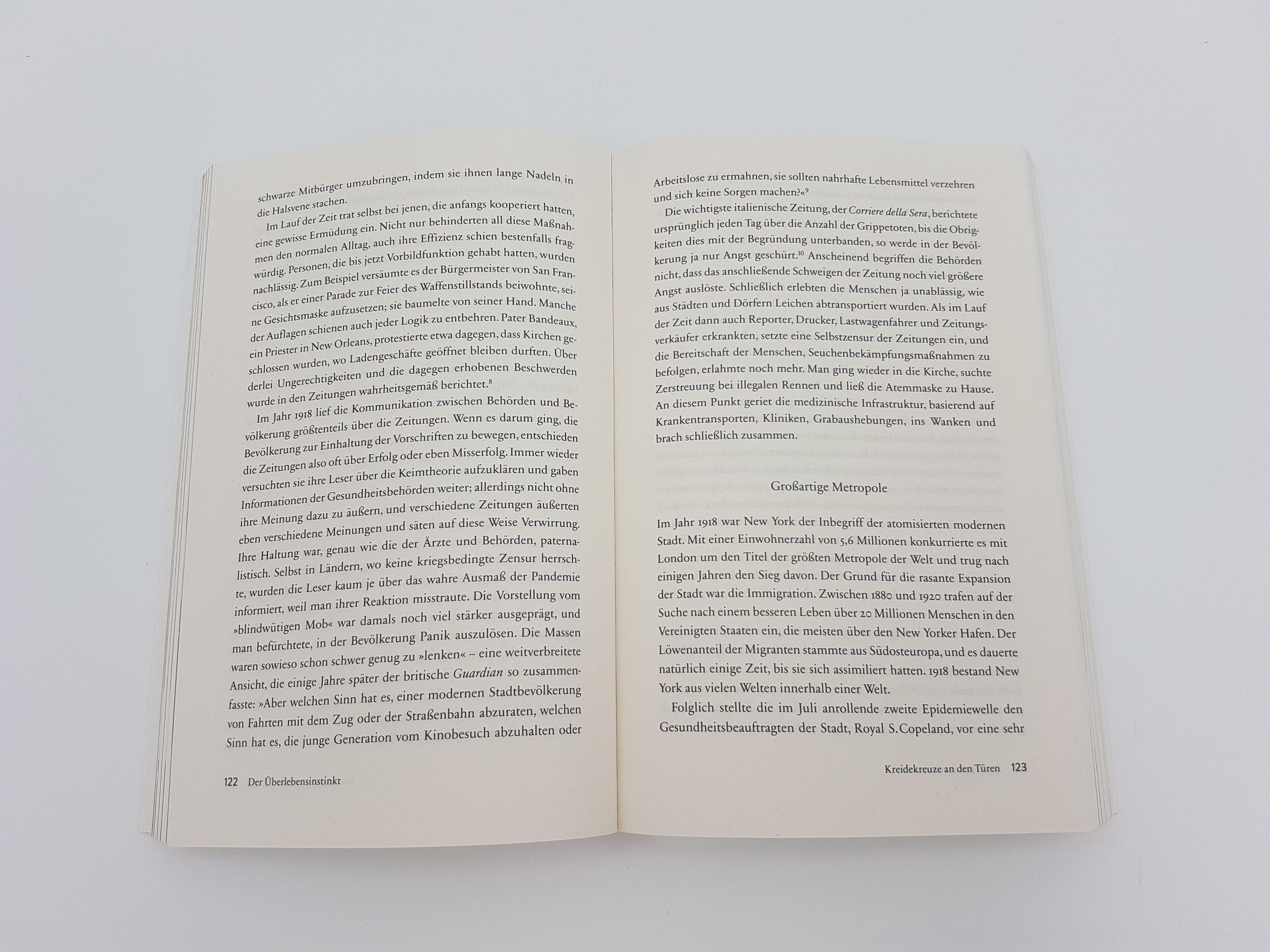 Beispielinhalt (Bild) 1918 - Die Welt im Fieber