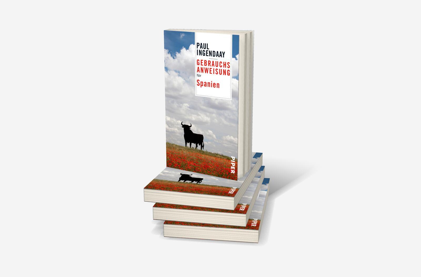 Beispielinhalt (Bild) Gebrauchsanweisung für Spanien