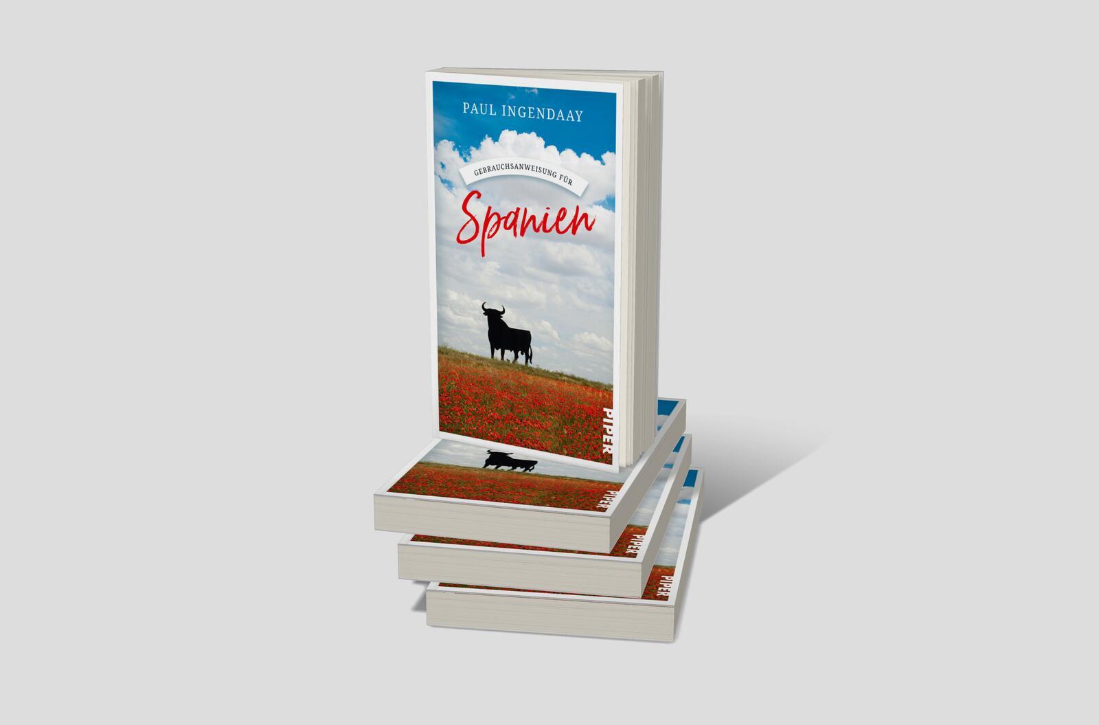 Beispielinhalt (Bild) Gebrauchsanweisung für Spanien