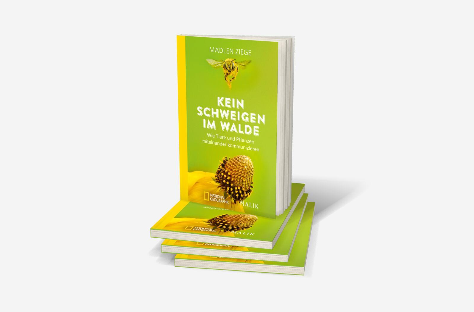 Beispielinhalt (Bild) Kein Schweigen im Walde