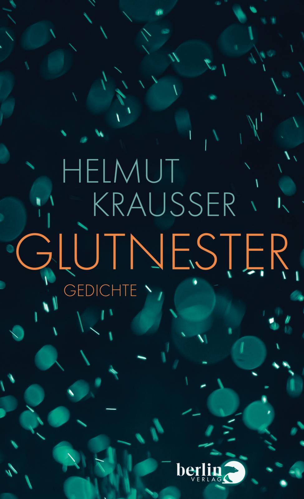 Vorderes Coverbild Glutnester