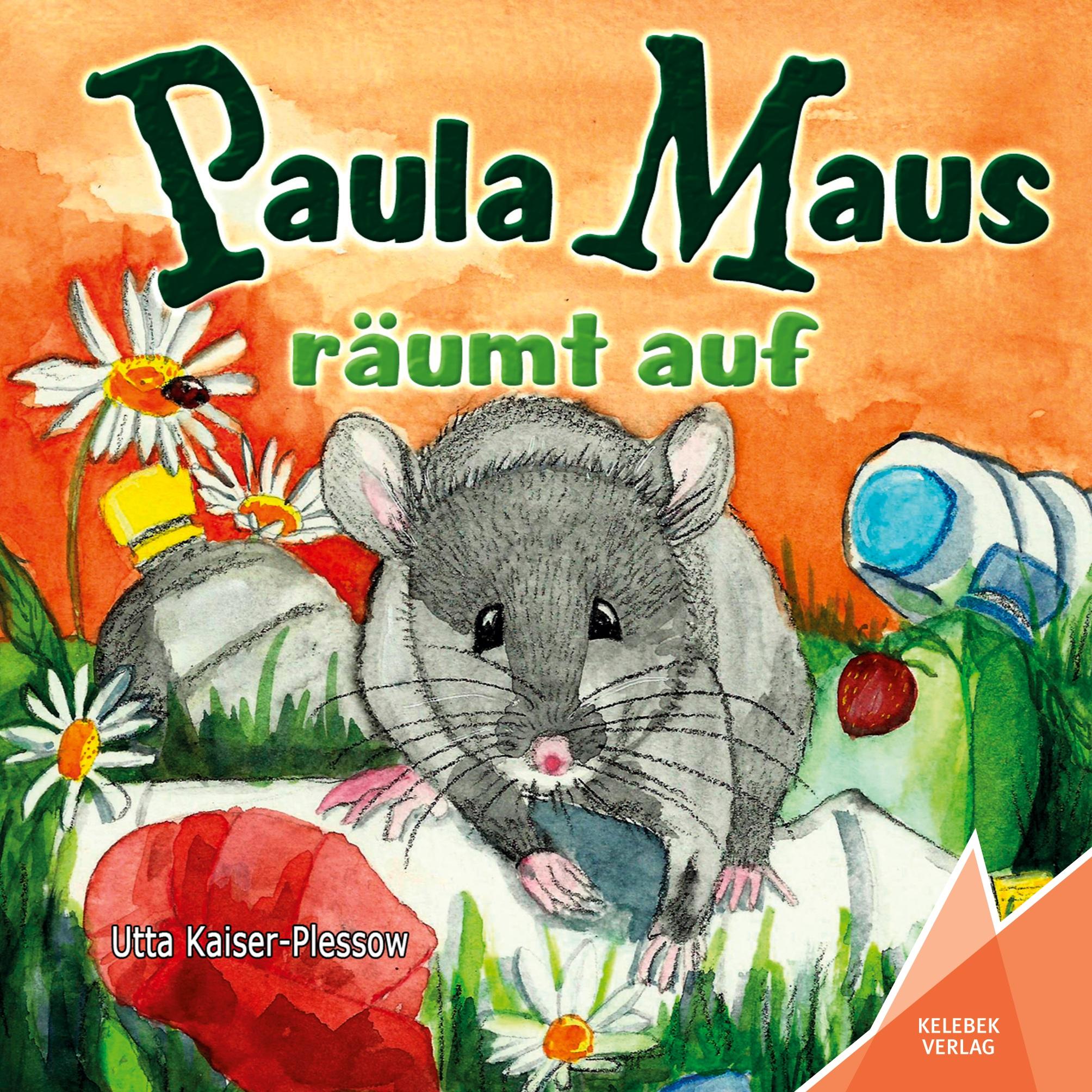 Vorderes Coverbild Paula Maus räumt auf