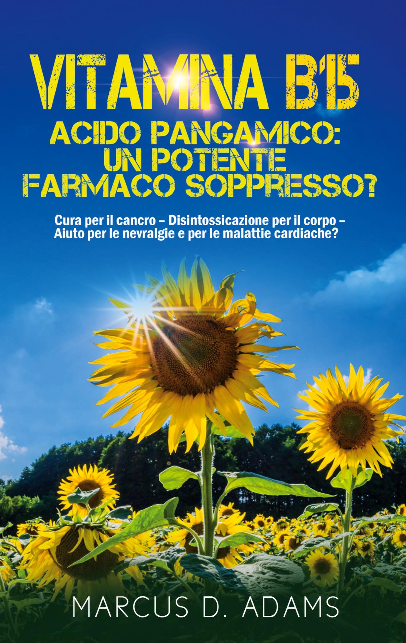 Vorderes Coverbild Vitamina B15 - Acido Pangamico: un potente farmaco soppresso?