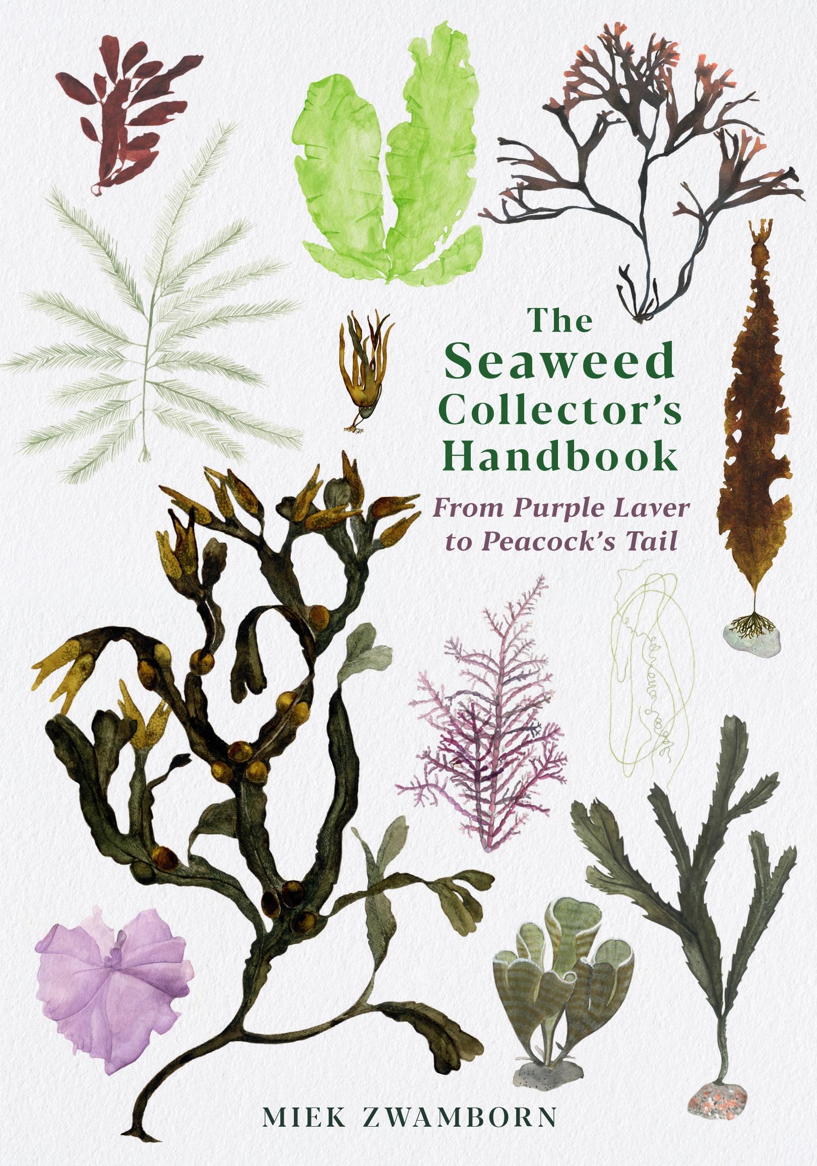 Vorderes Coverbild The Seaweed Collector's Handbook