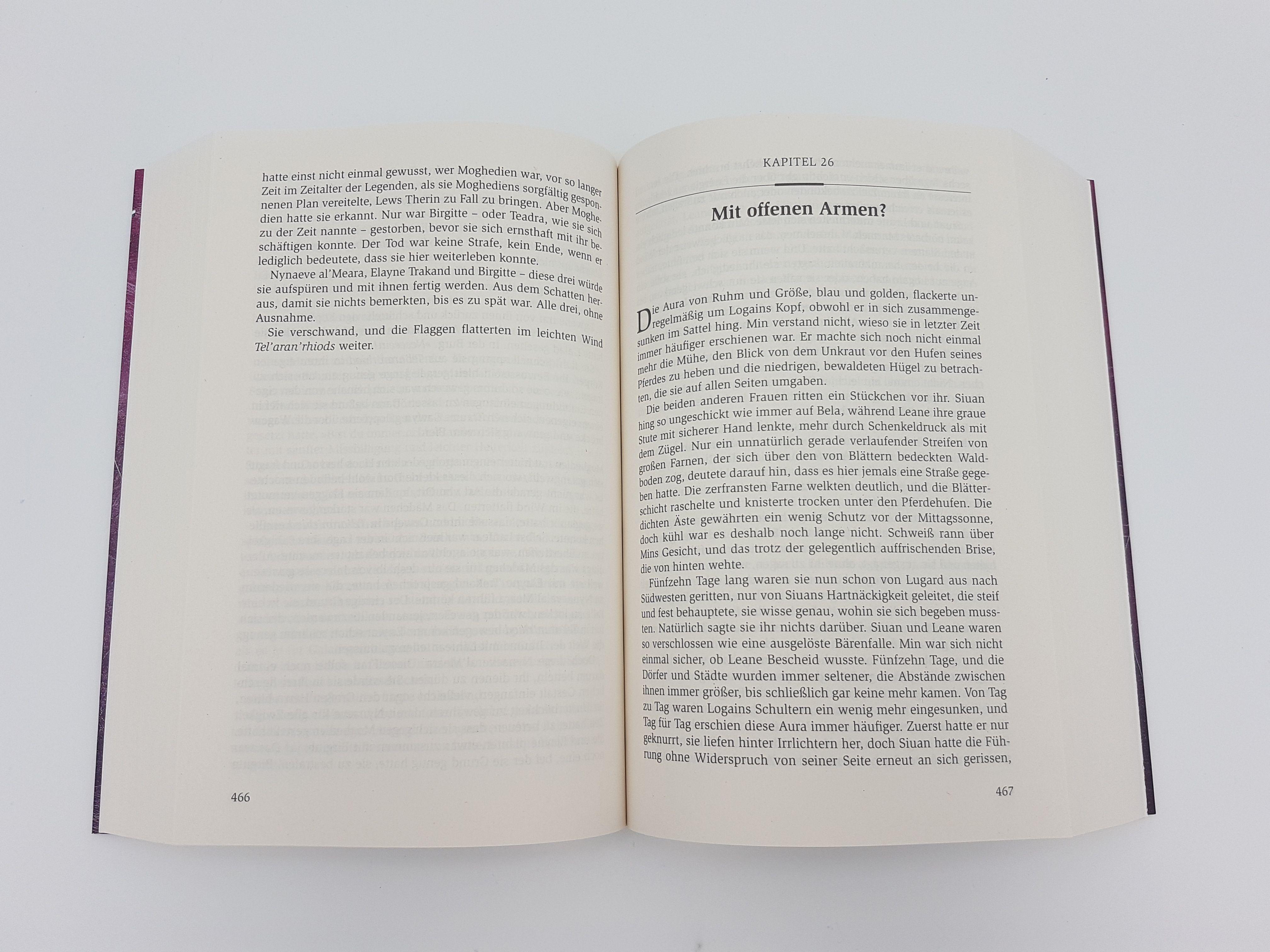 Beispielinhalt (Bild) Das Rad der Zeit 5