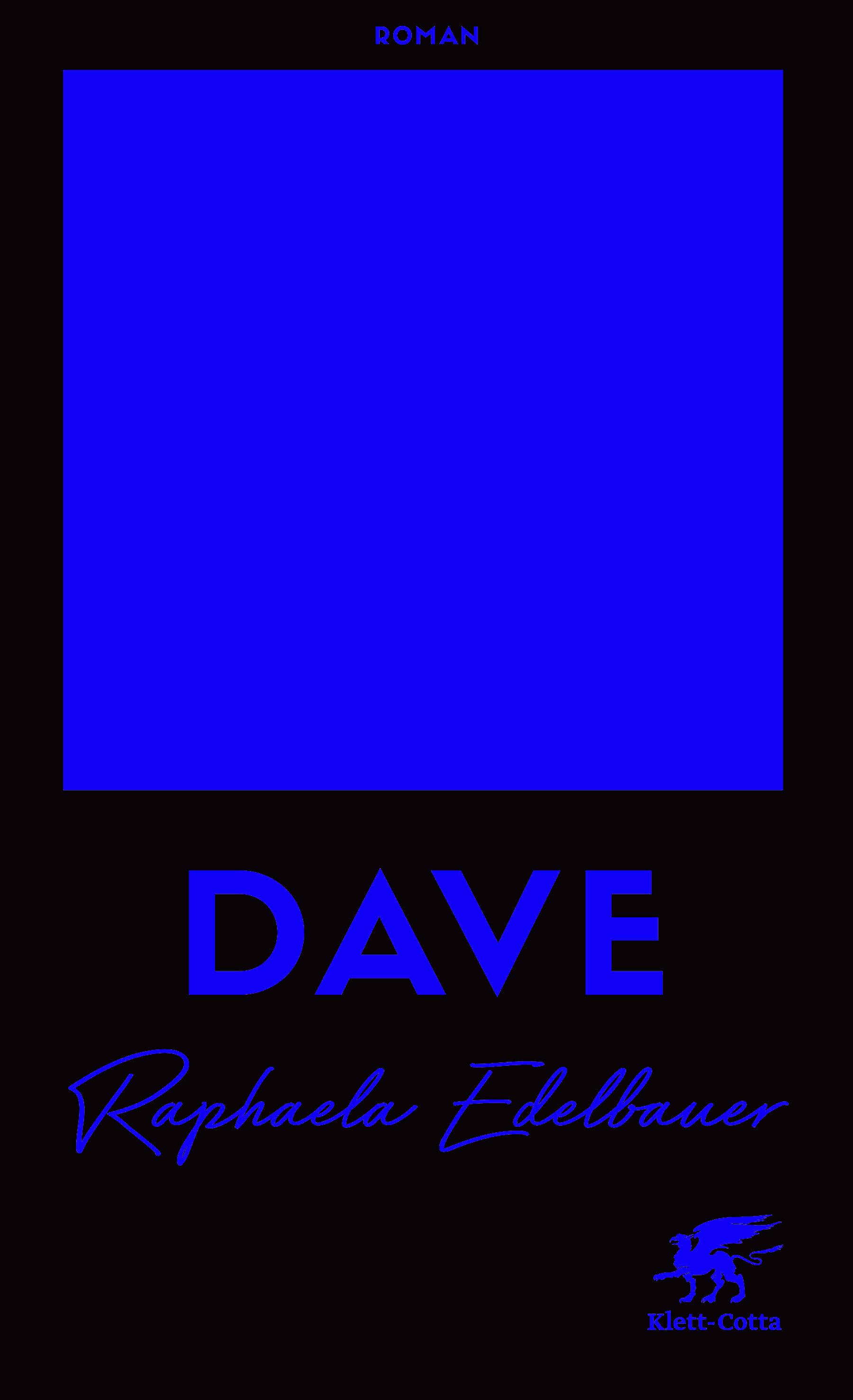 Vorderes Coverbild DAVE - Österreichischer Buchpreis 2021