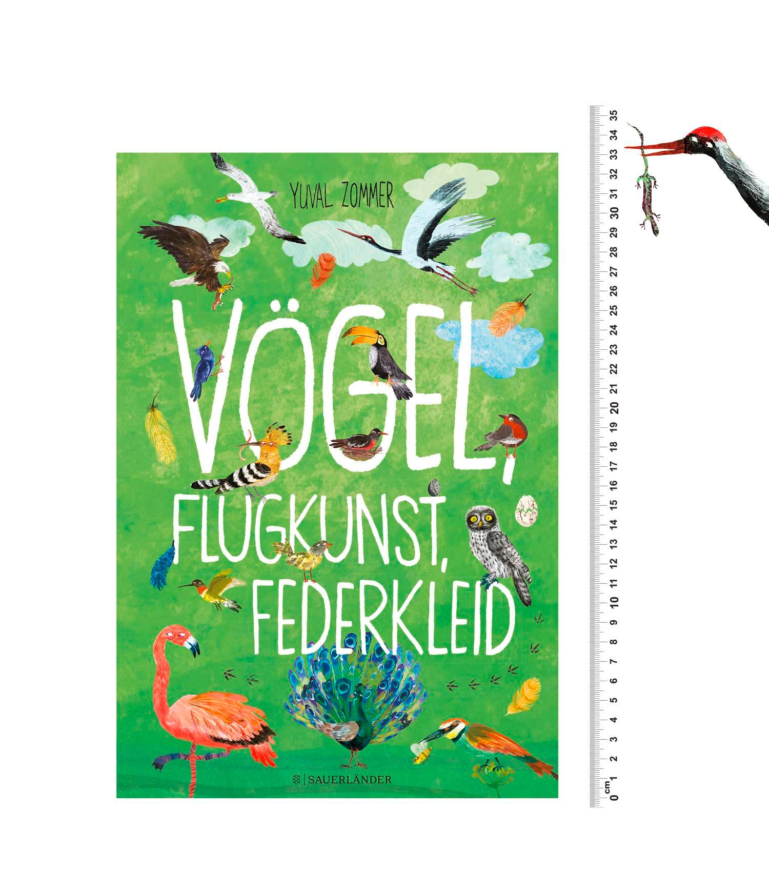 Beispielinhalt (Bild) Vögel, Flugkunst, Federkleid