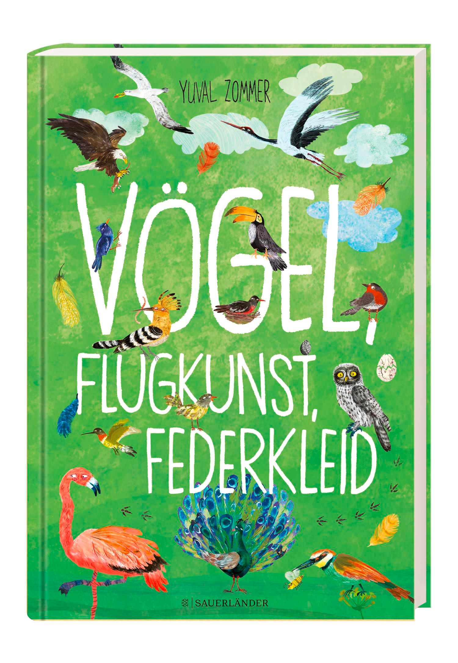 Beispielinhalt (Bild) Vögel, Flugkunst, Federkleid