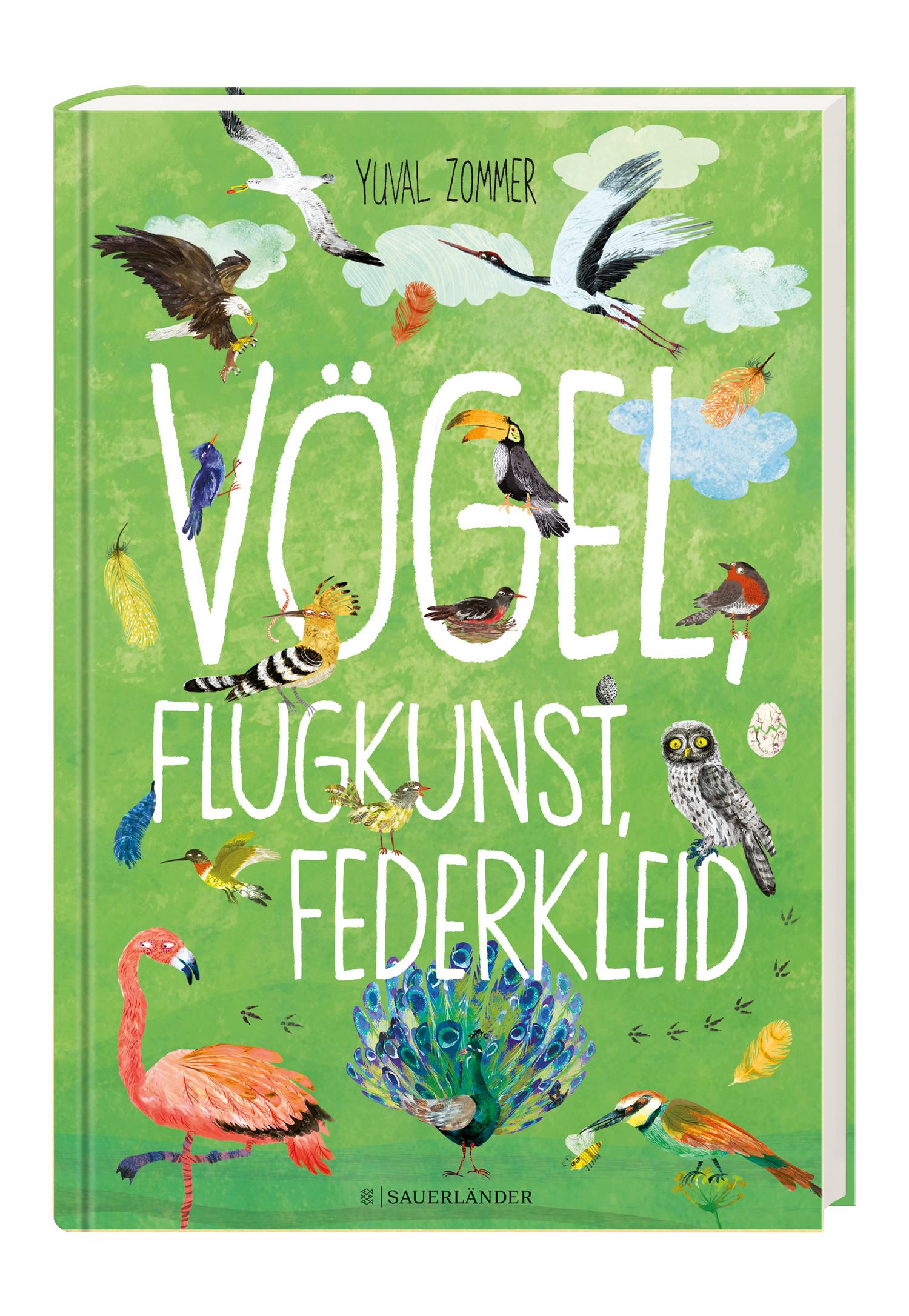 Beispielinhalt (Bild) Vögel, Flugkunst, Federkleid