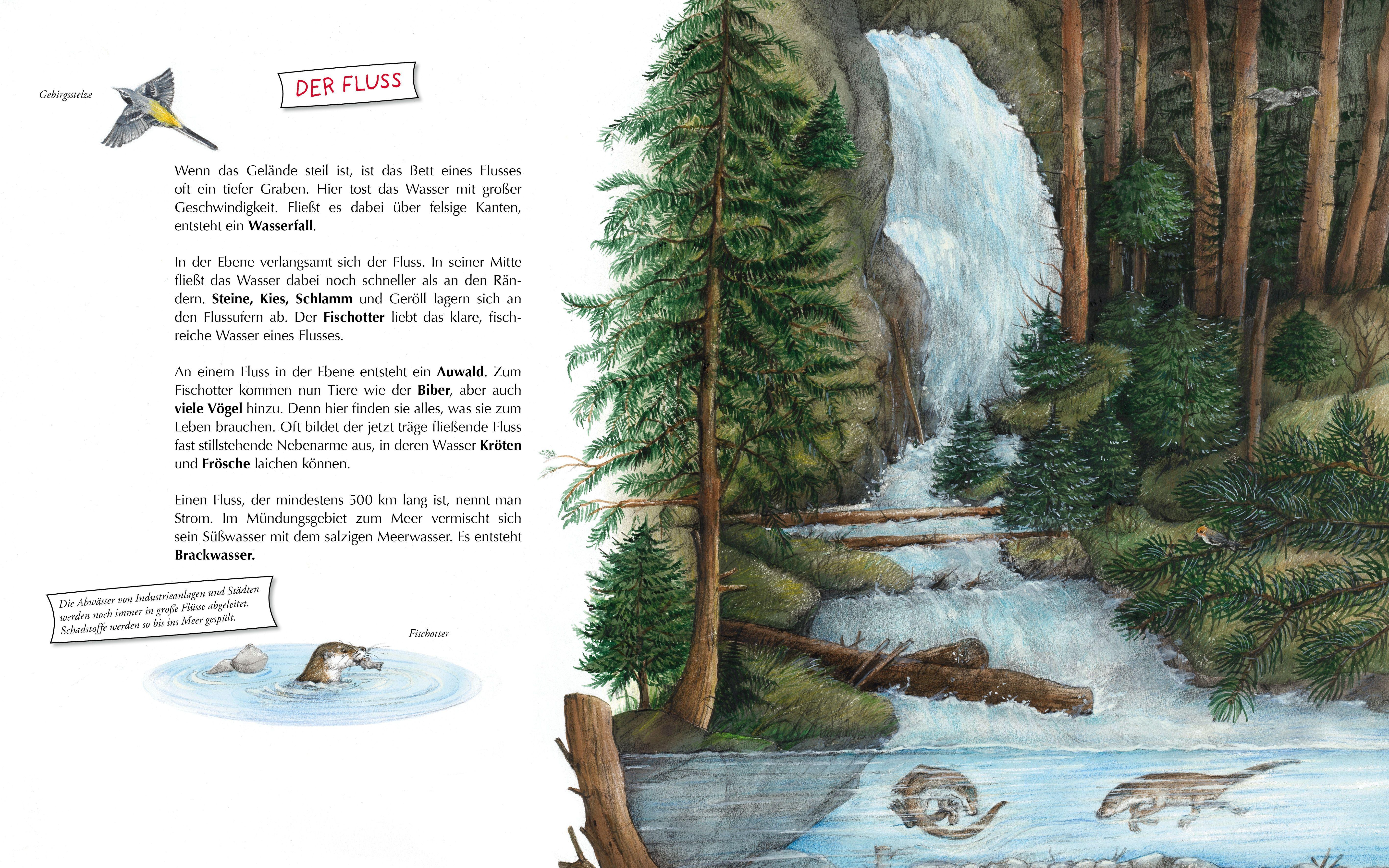 Beispielinhalt (Bild) Komm mit zum Wasser!