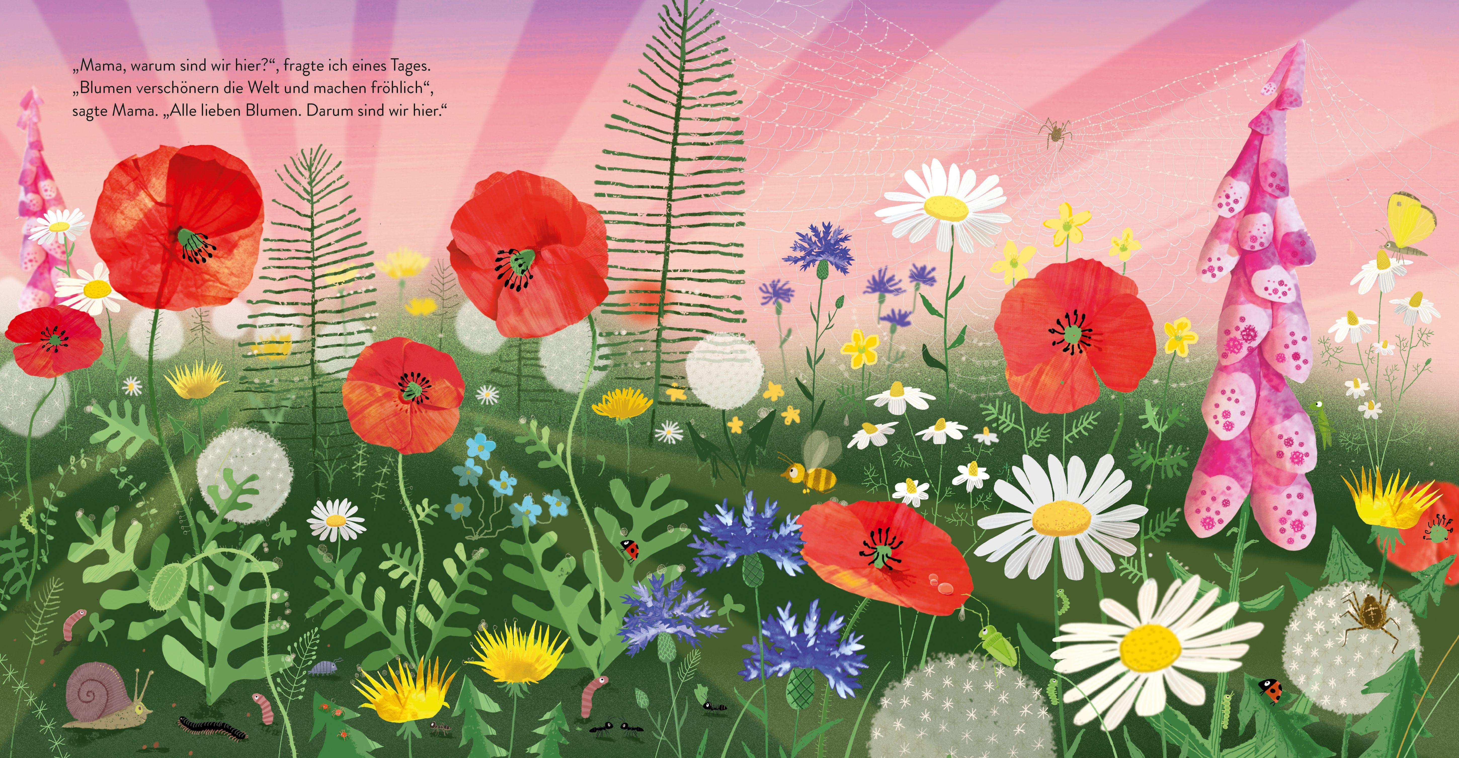 Beispielinhalt (Bild) Kleine Blume, große Welt