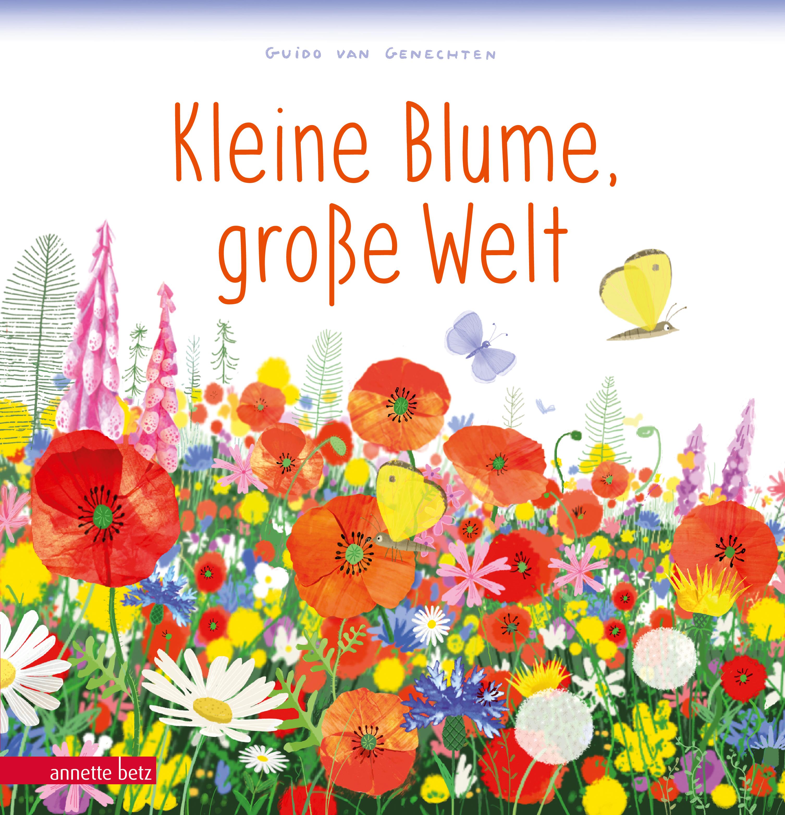 Vorderes Coverbild Kleine Blume, große Welt
