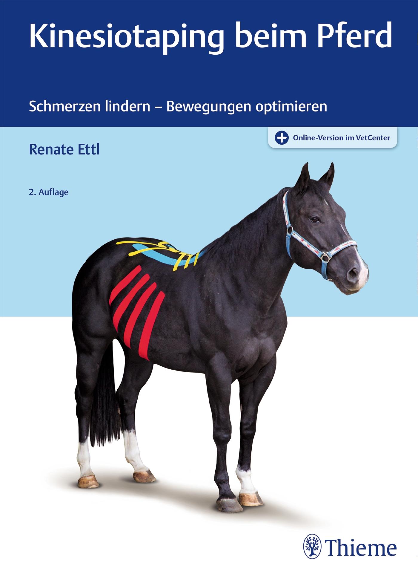 Vorderes Coverbild Kinesiotaping beim Pferd