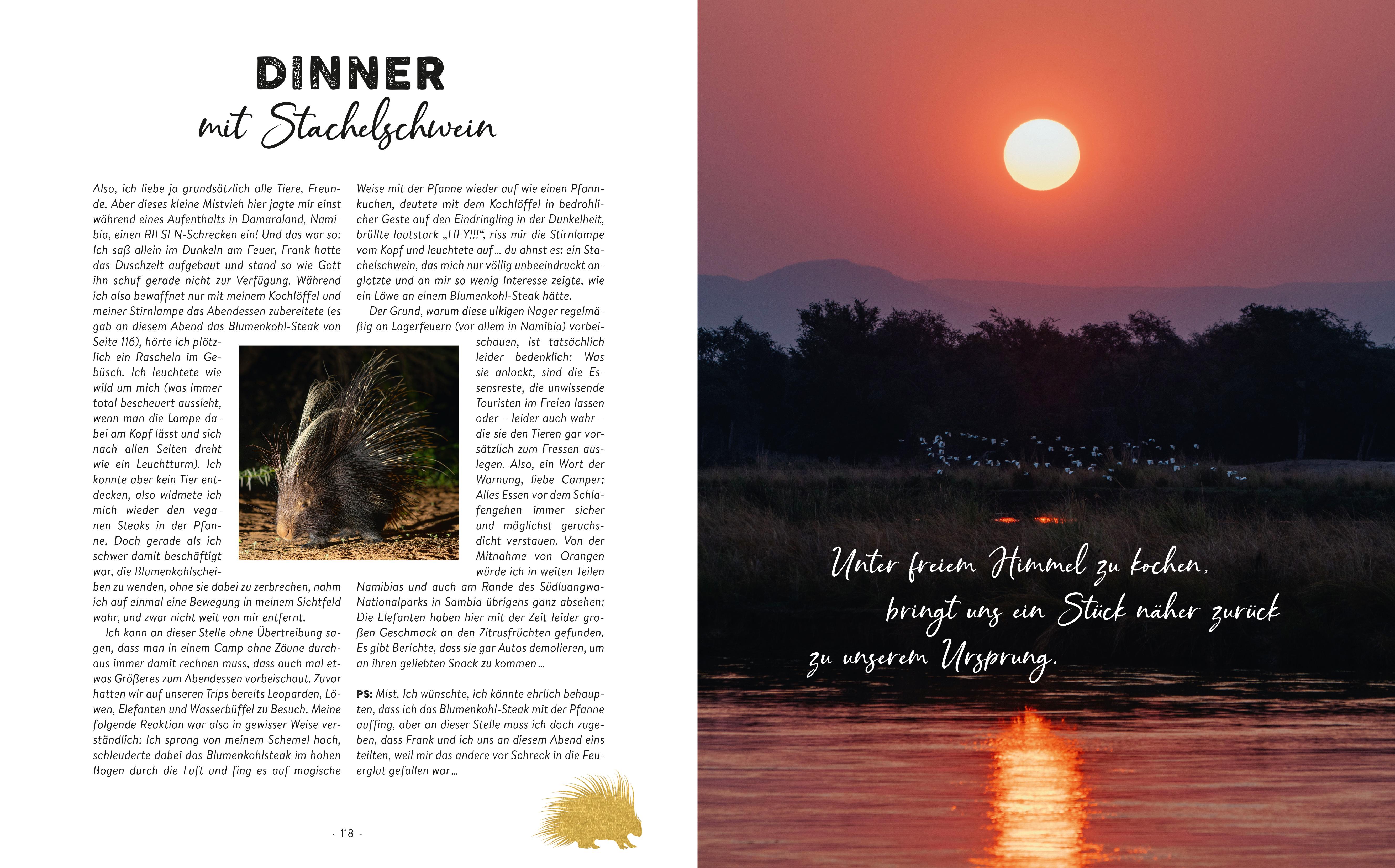 Beispielinhalt (Bild) Safari Kitchen