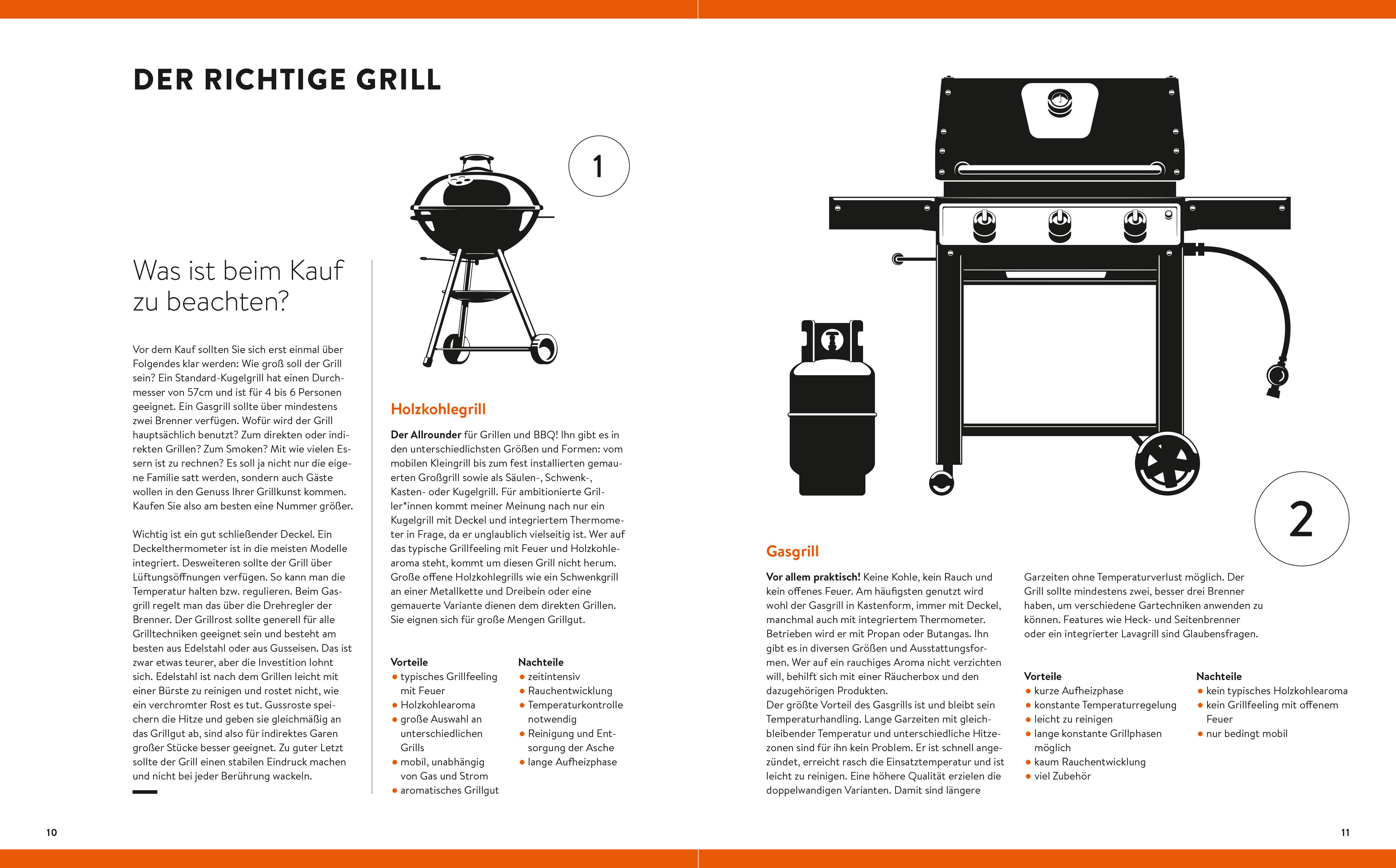 Beispielinhalt (Bild) Grillen