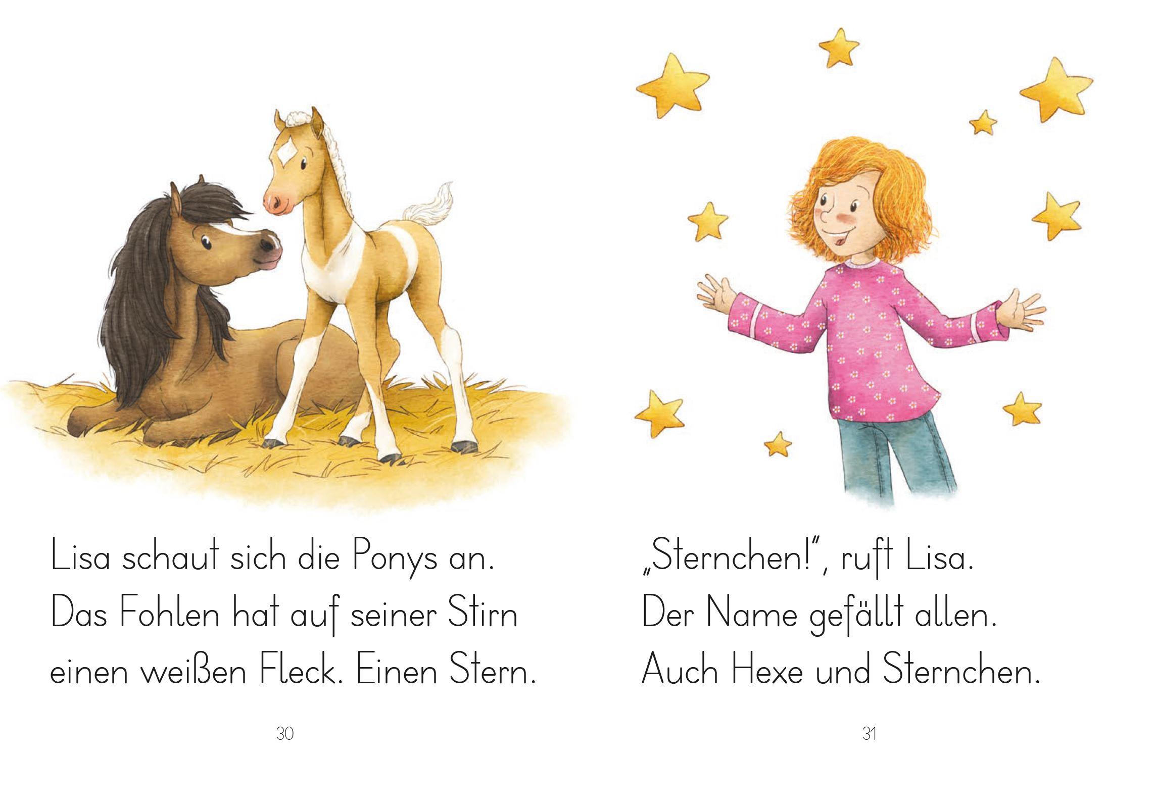 Beispielinhalt (Bild) LESEZUG/1. Klasse: Sternchen, mein Fohlen