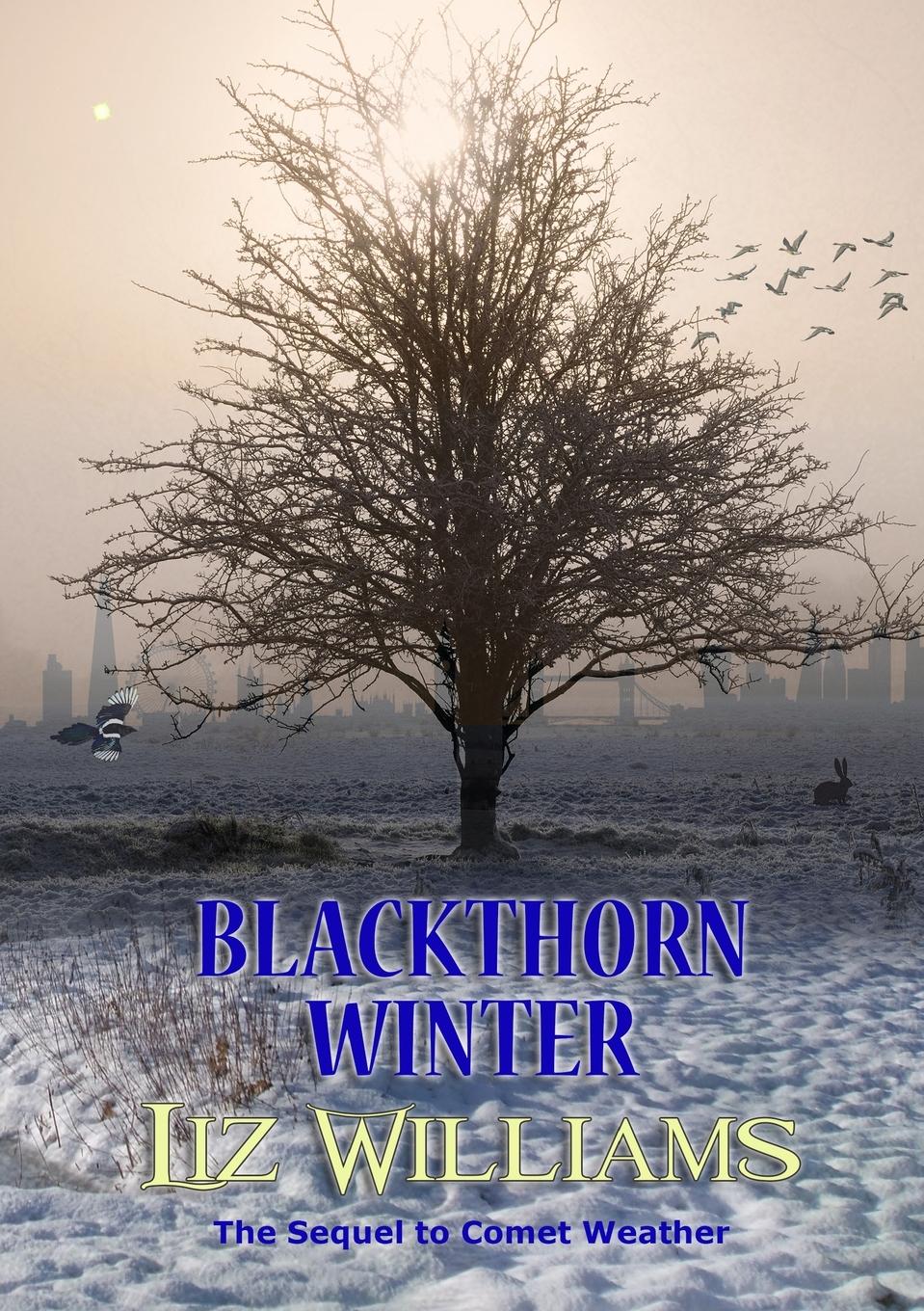 Vorderes Coverbild Blackthorn Winter