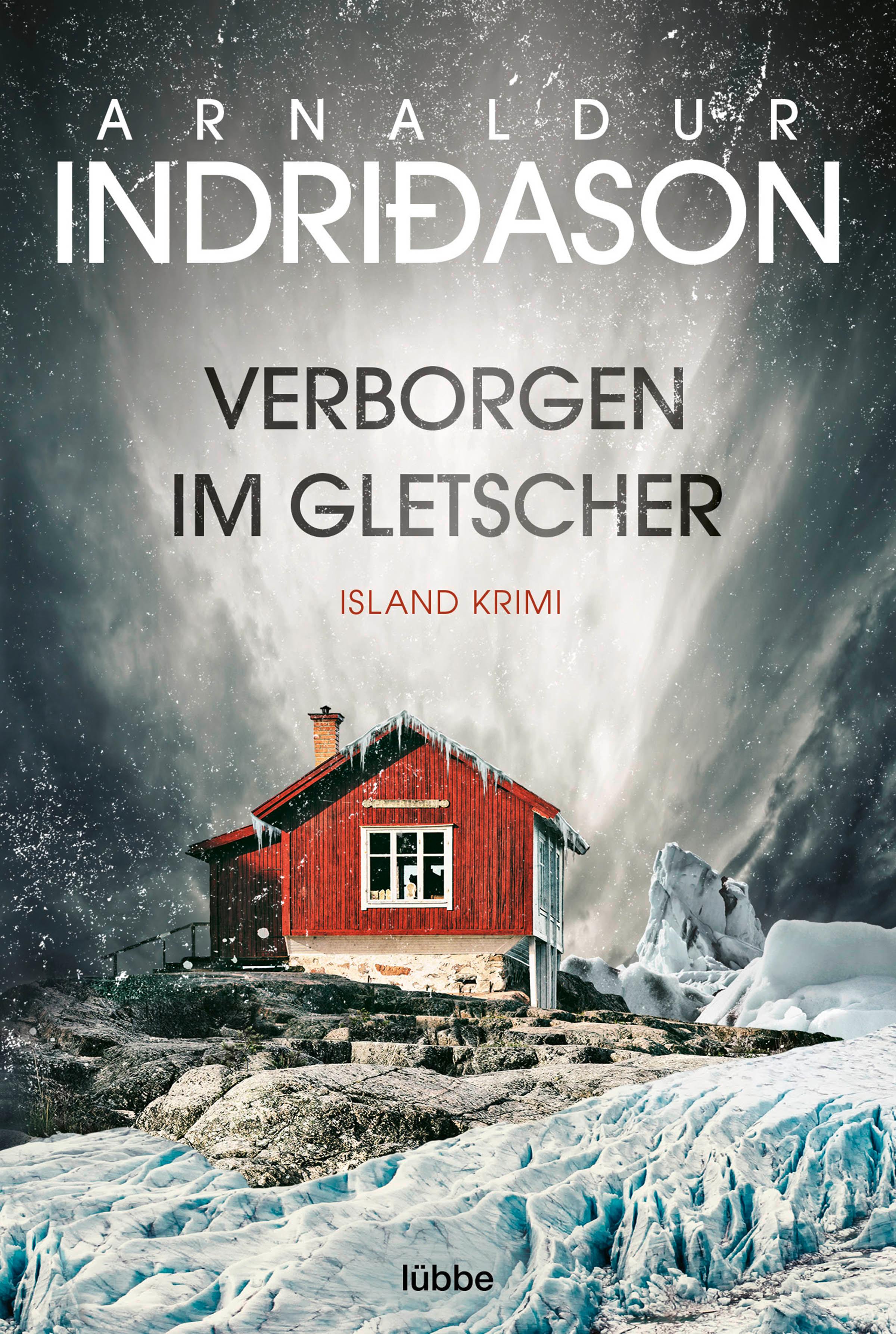 Vorderes Coverbild Verborgen im Gletscher