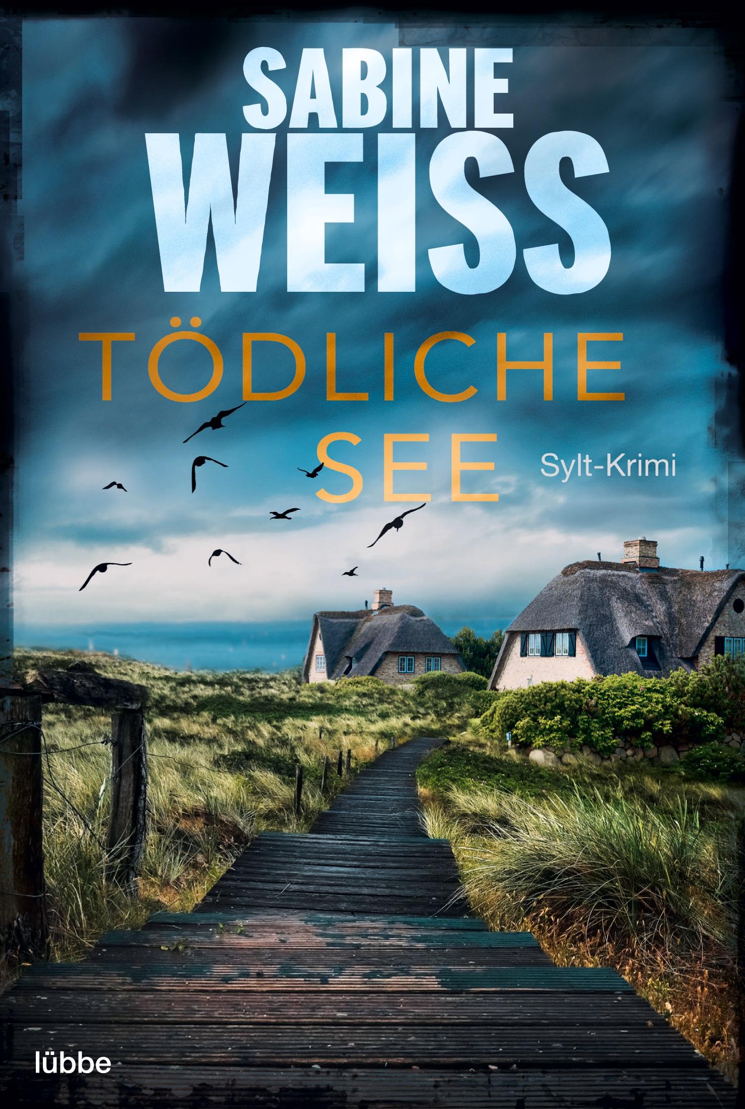 Vorderes Coverbild Tödliche See